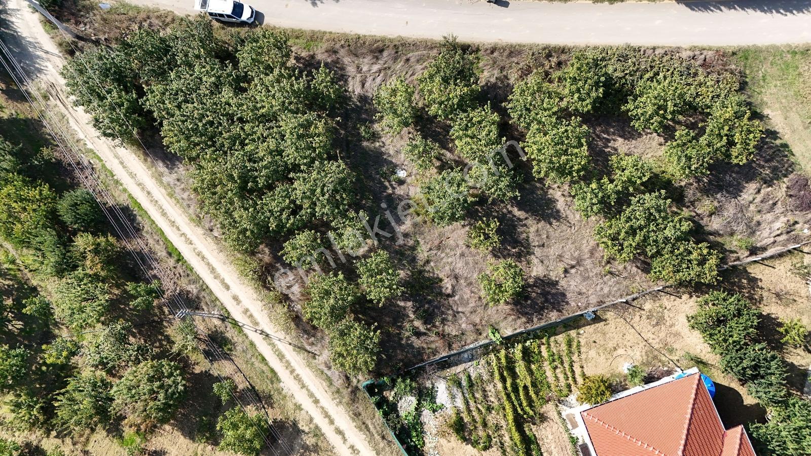Geyve Çine Mahallesinde Asfalt Kenarı Fırsat — fotoğraf 10