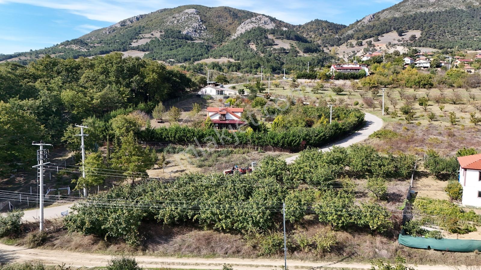 Geyve Çine Mahallesinde Asfalt Kenarı Fırsat — fotoğraf 12