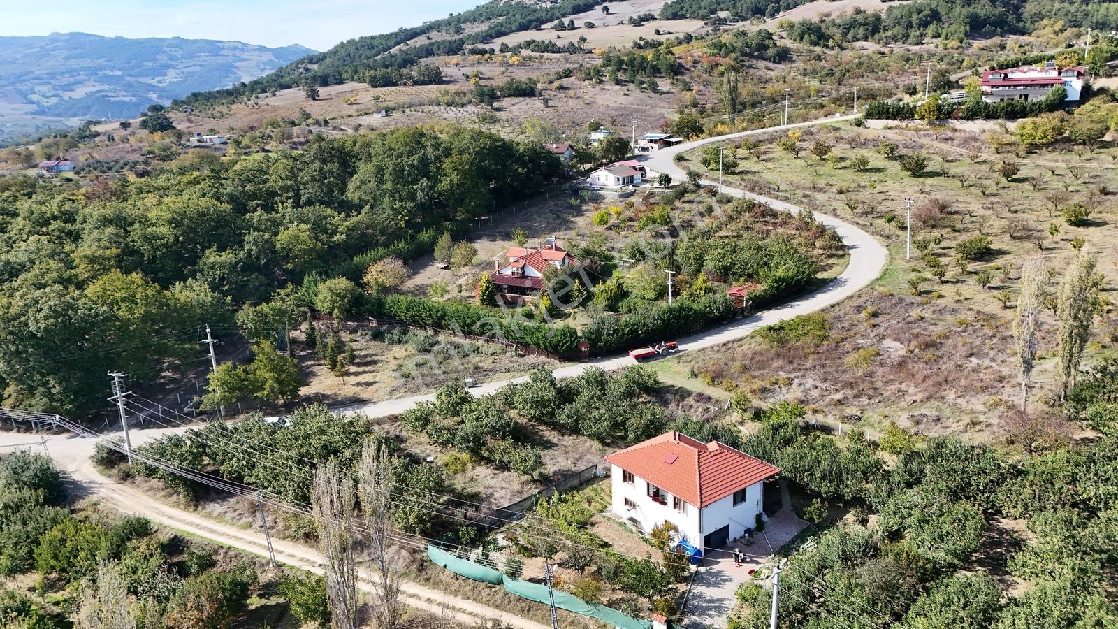 Geyve Çine Mahallesinde Asfalt Kenarı Fırsat — fotoğraf 13