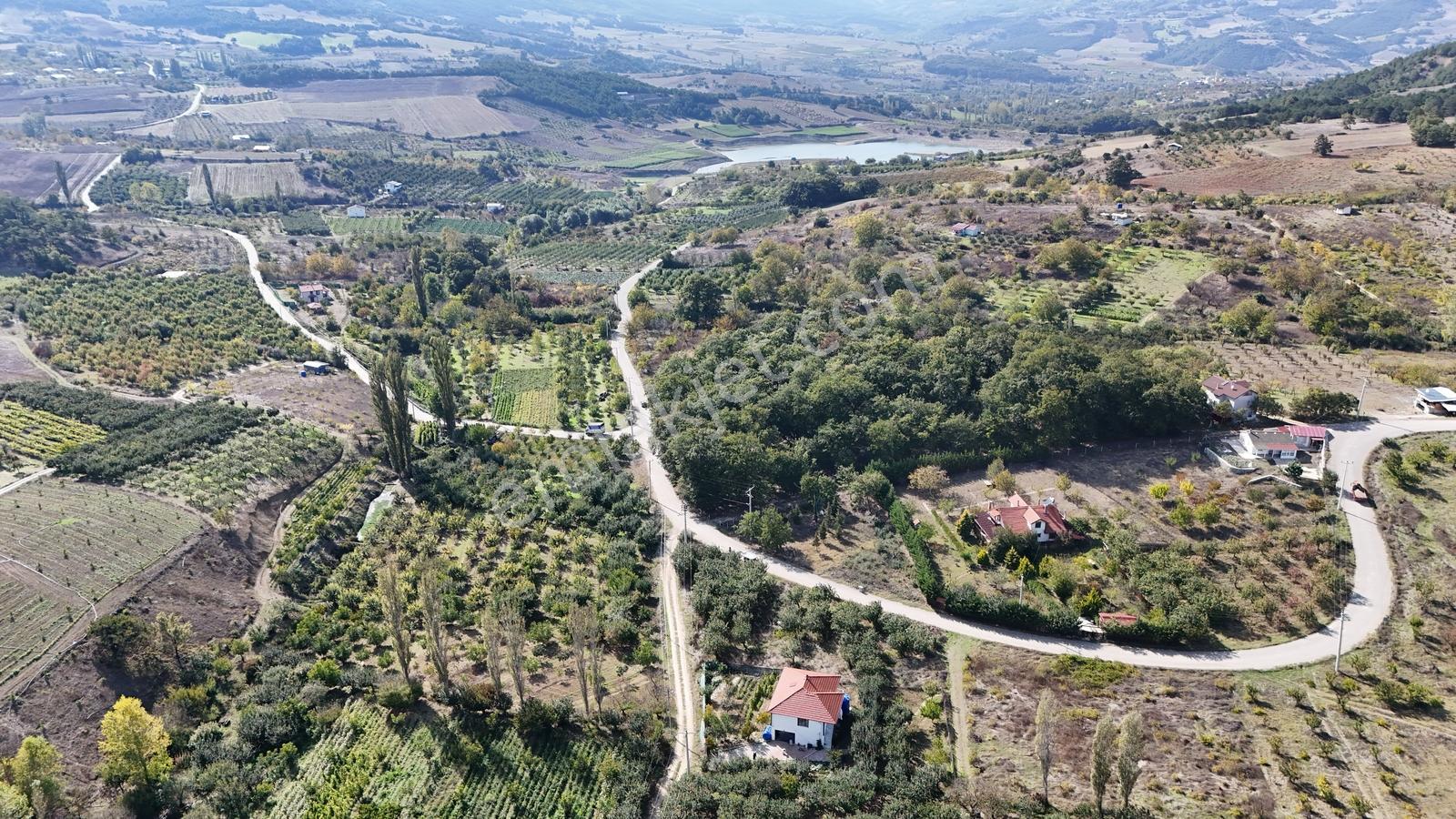 Geyve Çine Mahallesinde Asfalt Kenarı Fırsat — fotoğraf 14