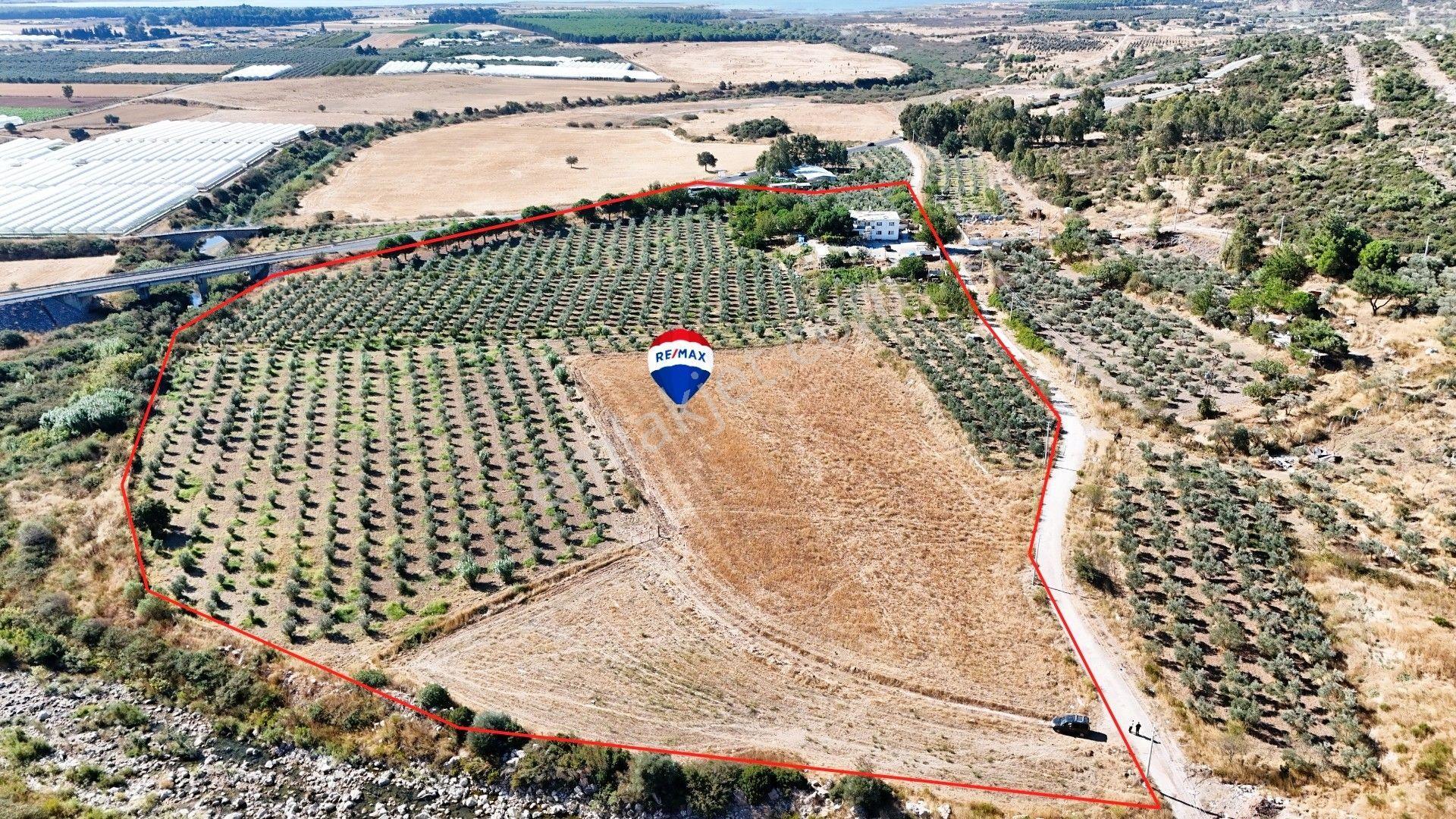İzmir Menderes Küner Köyünde Satılık Tek Tapu Tarla — fotoğraf 22