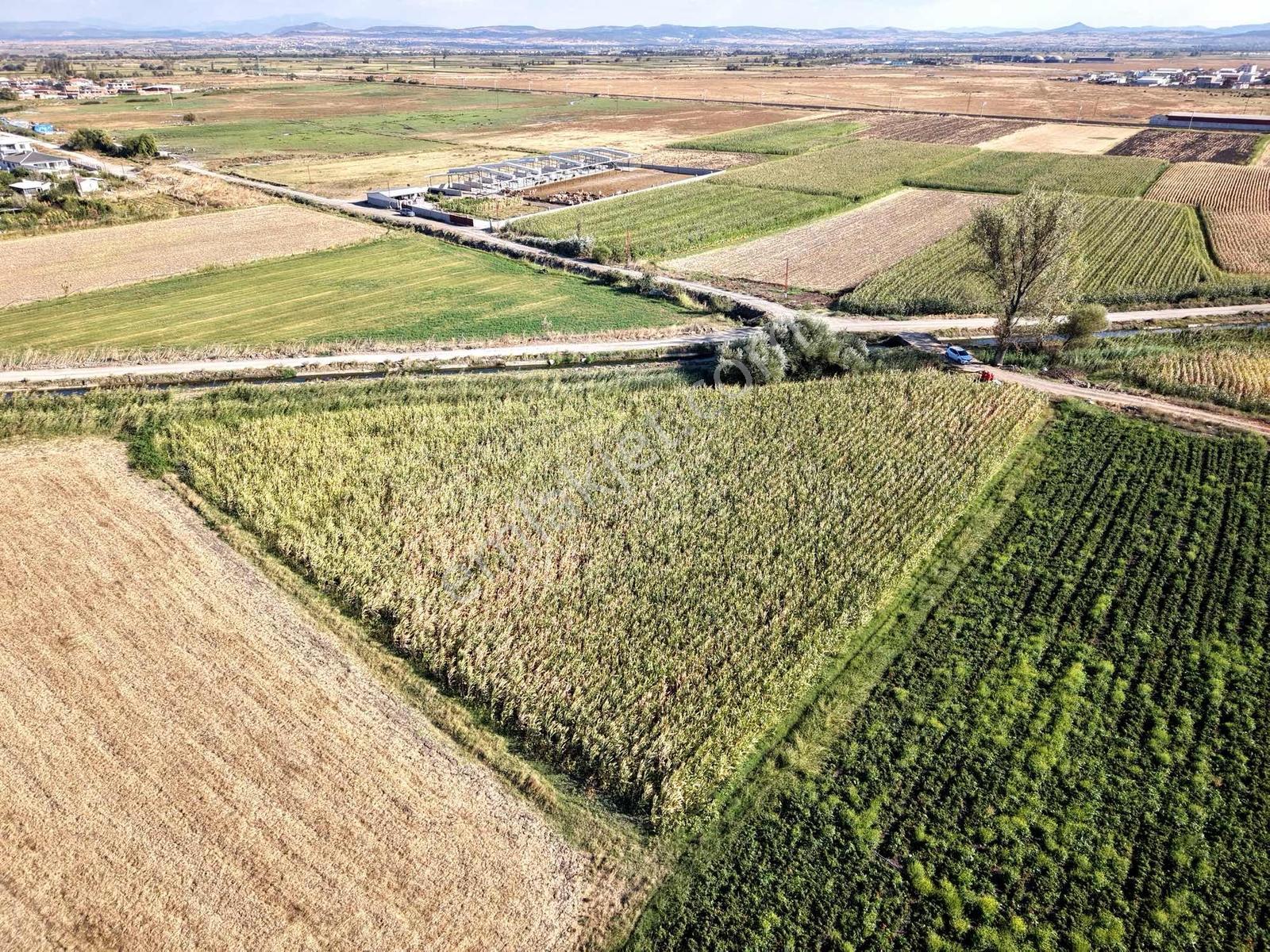 Balıkesir Gümüşçeşme Mh. Resmi Yola Cepheli Satılık Tarla — fotoğraf 8