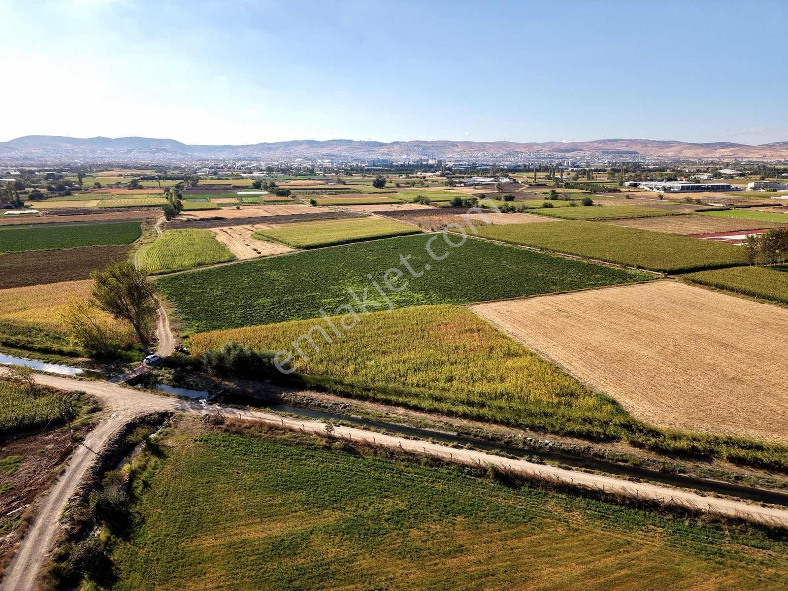 Balıkesir Gümüşçeşme Mh. Resmi Yola Cepheli Satılık Tarla — fotoğraf 19