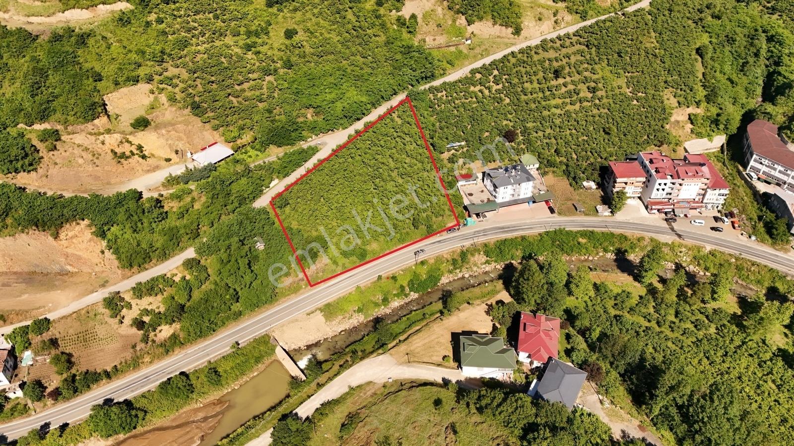Efe Gayrimenkul'Den Satılık Derecik 'De Yol Kenarında Arsa