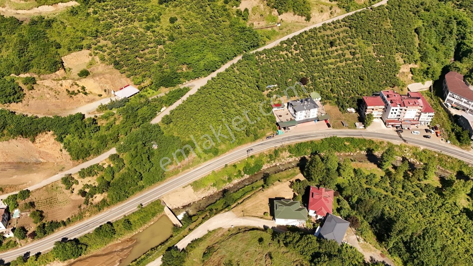 Efe Gayrimenkul'den Satılık Derecik 'de Yol Kenarında Arsa — fotoğraf 4