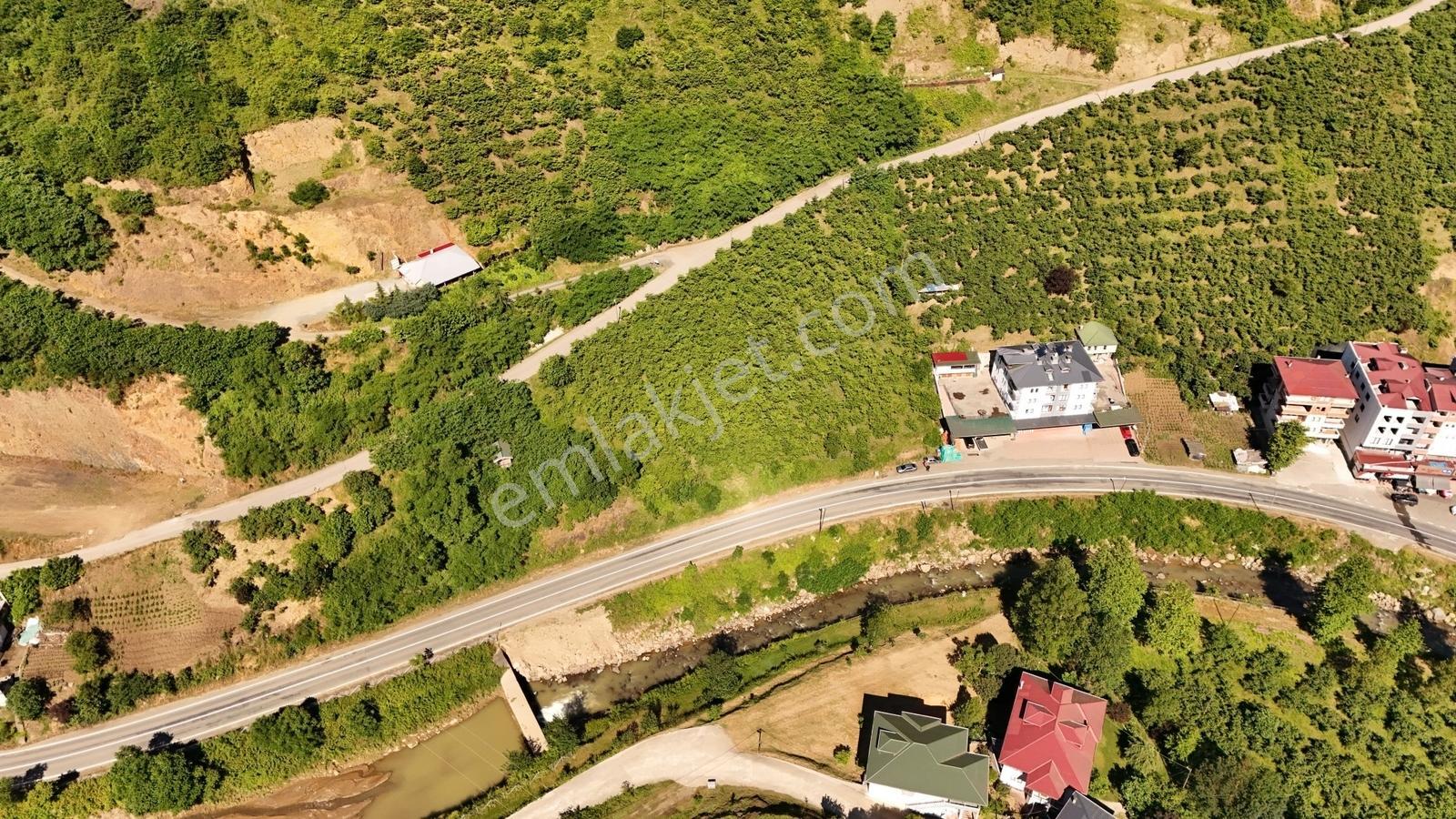 Efe Gayrimenkul'den Satılık Derecik 'de Yol Kenarında Arsa — fotoğraf 6