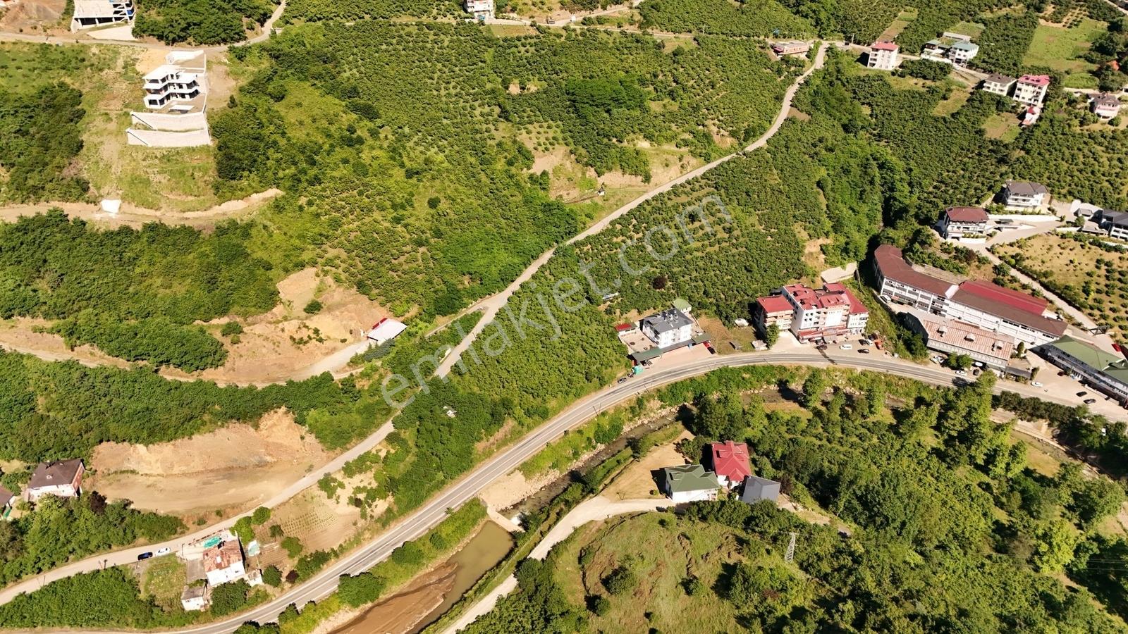 Efe Gayrimenkul'den Satılık Derecik 'de Yol Kenarında Arsa — fotoğraf 8