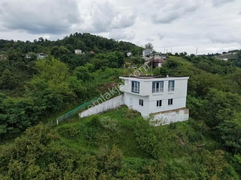 Persembe Okculu Mah Denız Manzaralı Ev Ve Fındık Bahcesı Satılık — fotoğraf 23