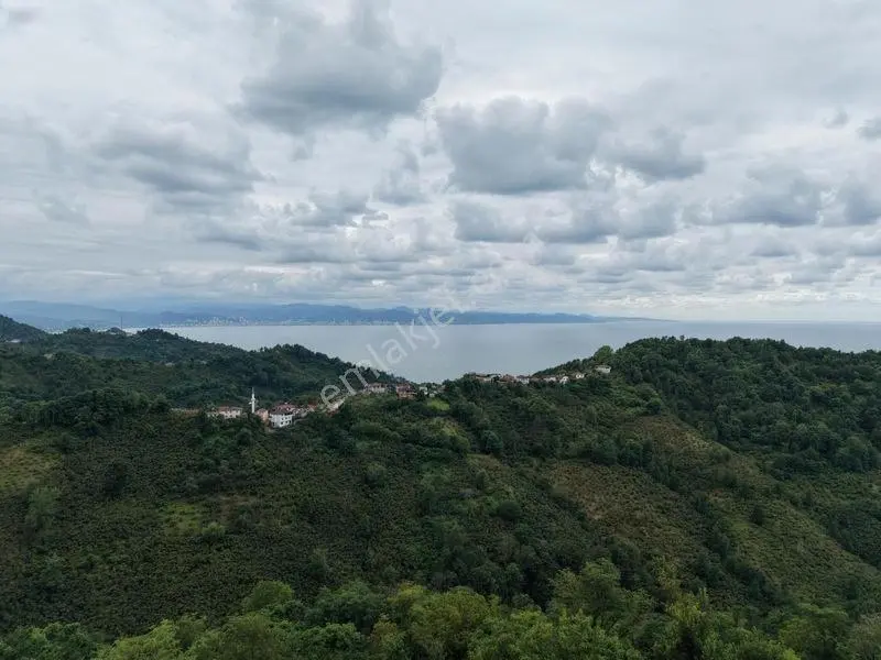 Persembe Okculu Mah Denız Manzaralı Ev Ve Fındık Bahcesı Satılık — fotoğraf 25