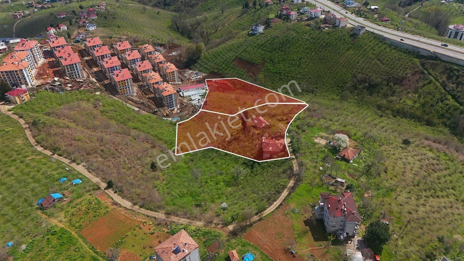 Trabzon - Çimenli'de Deniz Manzaralı 12.473m² Satılık Arsa — fotoğraf 4