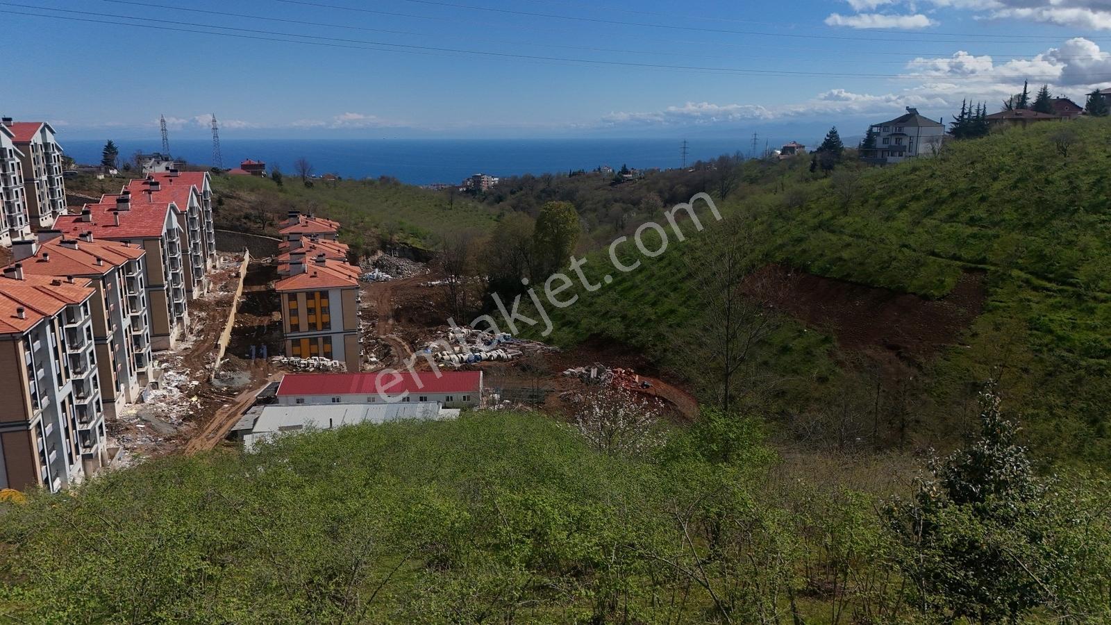 Trabzon - Çimenli'de Deniz Manzaralı 12.473m² Satılık Arsa — fotoğraf 5