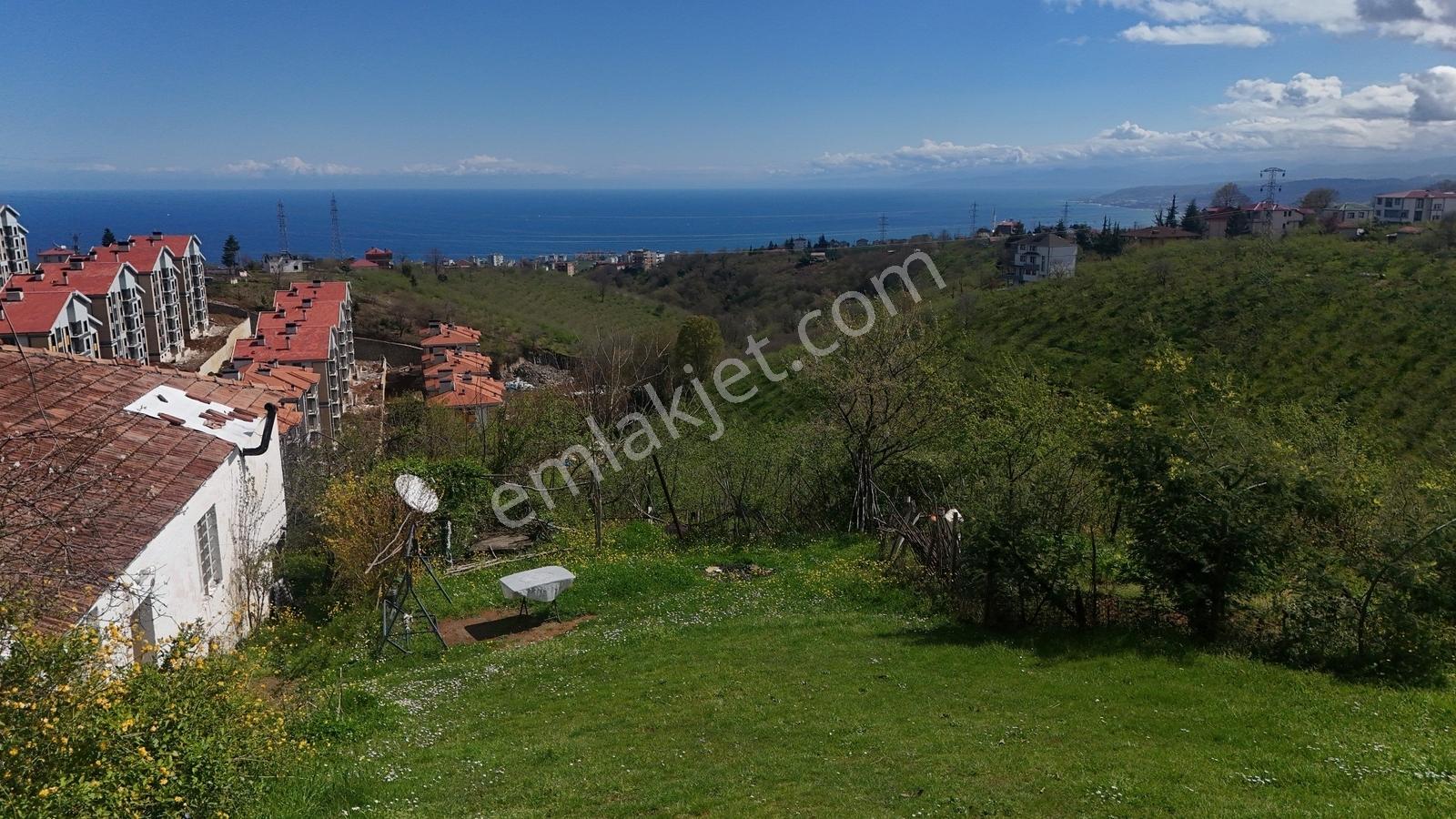 Trabzon - Çimenli'de Deniz Manzaralı 12.473m² Satılık Arsa — fotoğraf 6