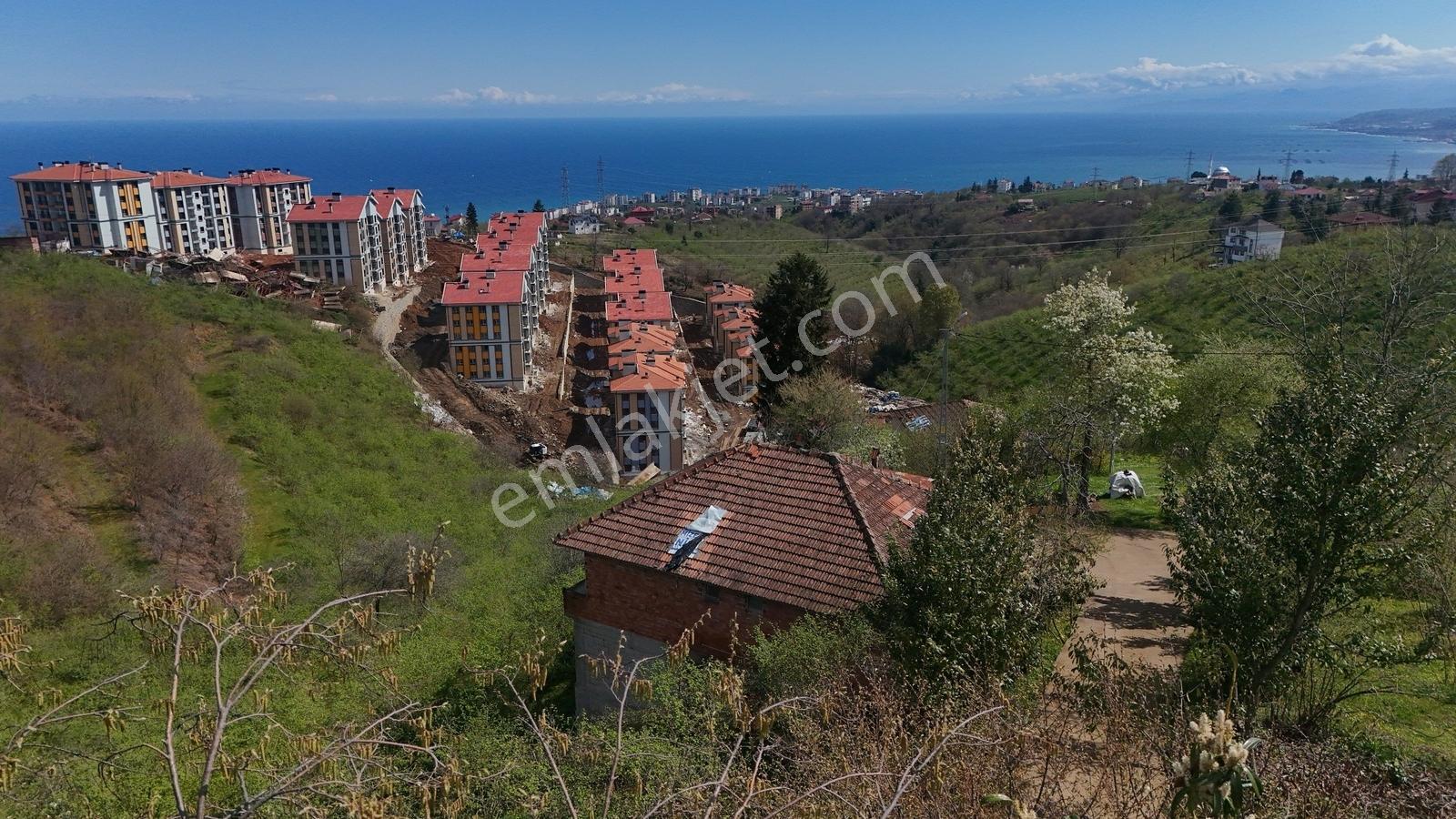 Trabzon - Çimenli'de Deniz Manzaralı 12.473m² Satılık Arsa — fotoğraf 7
