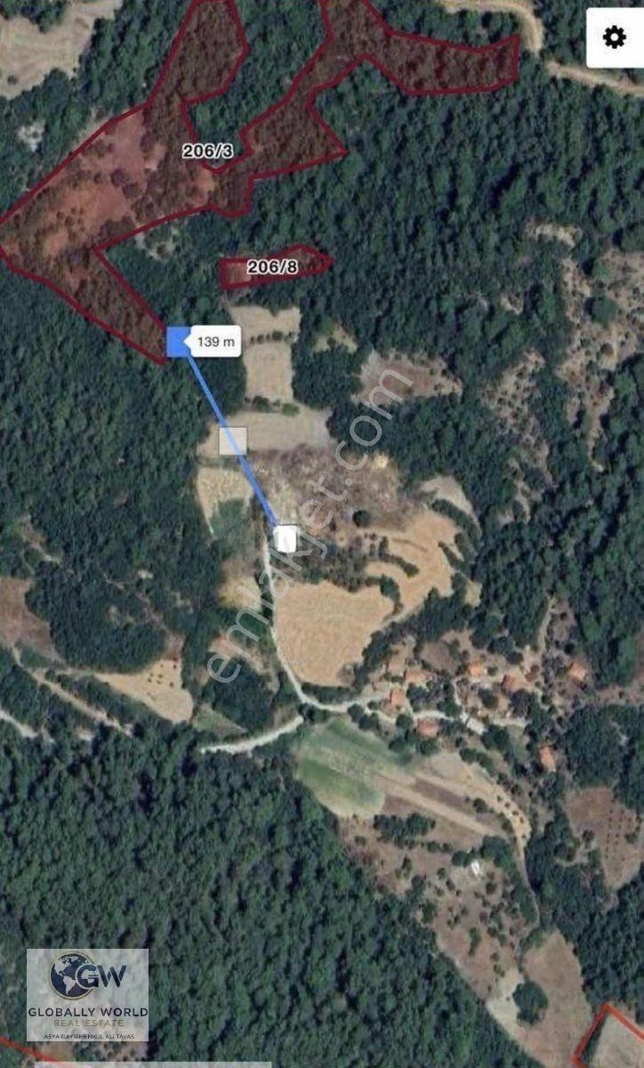 Muğla Ula Armutçuk'ta Ormanla Komşu, 20.556 M² Yatırımlık Arazi — fotoğraf 3