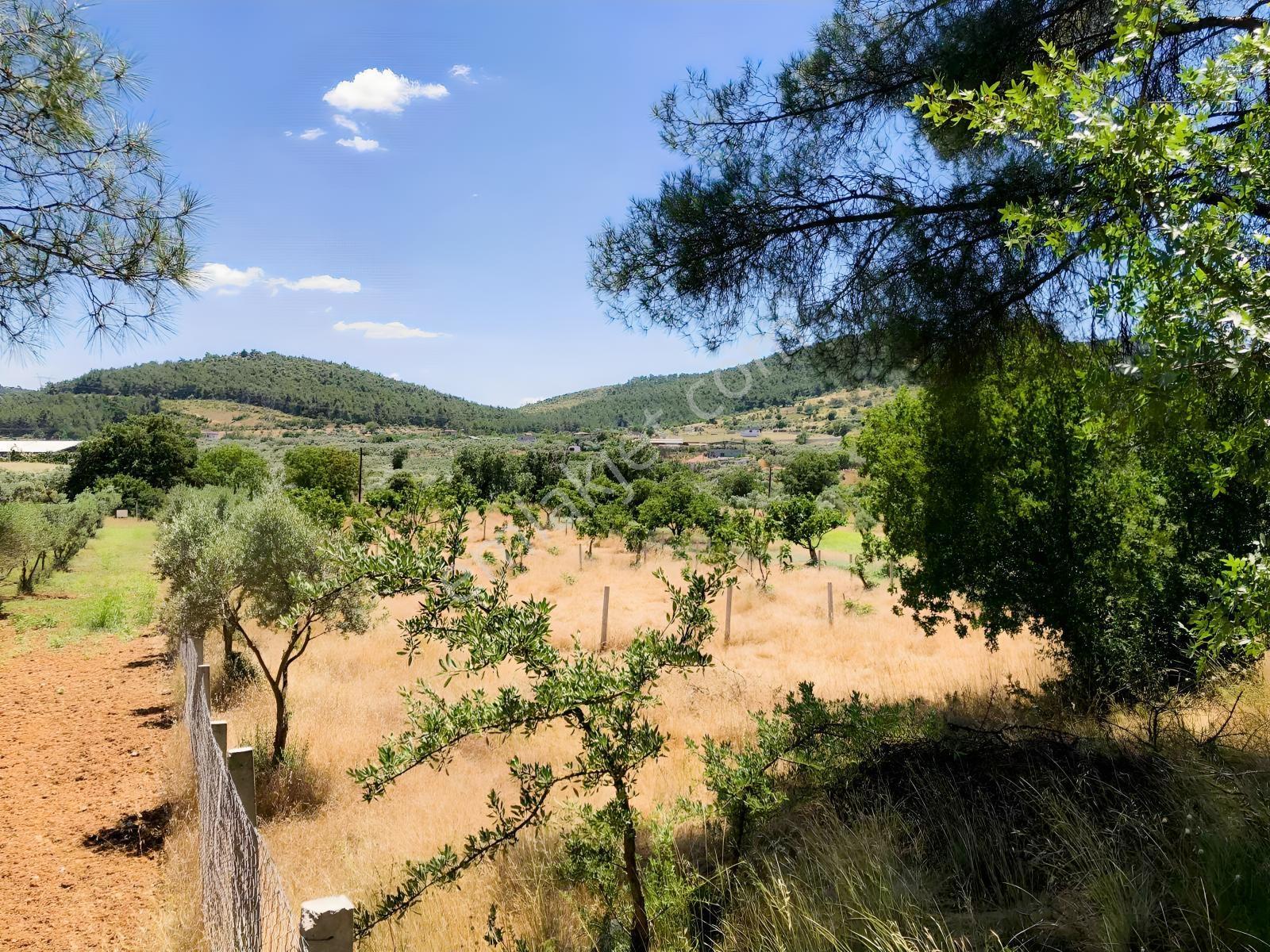 Torbalı Çamlıca´da Satılık 2272 M2 Arazi — fotoğraf 3