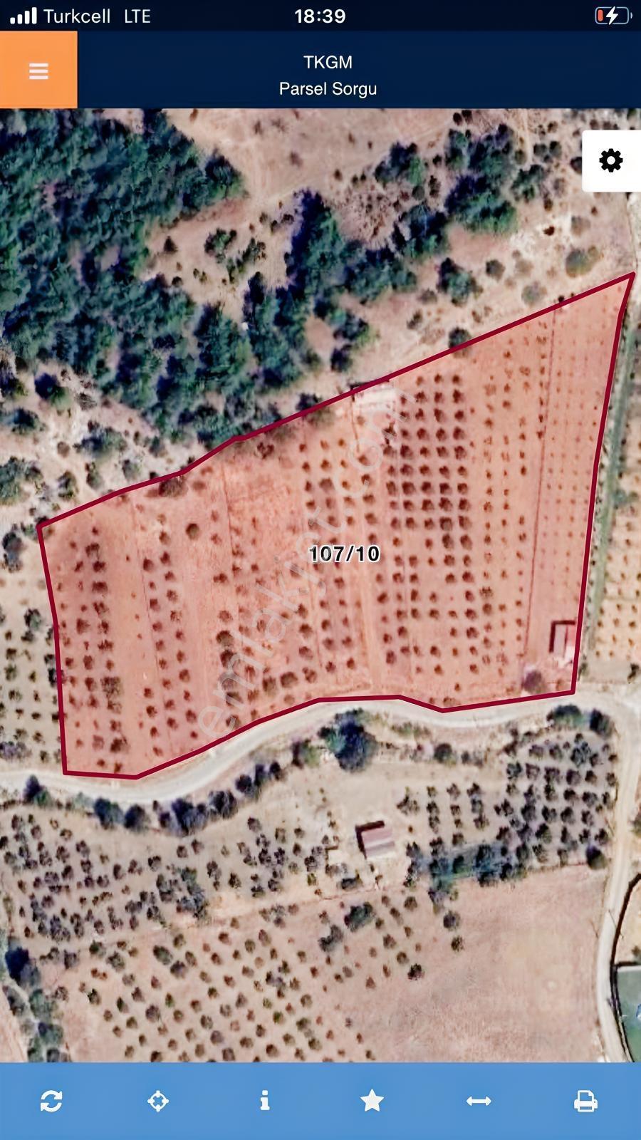 Torbalı Çamlıca´da Satılık 2272 M2 Arazi — fotoğraf 4