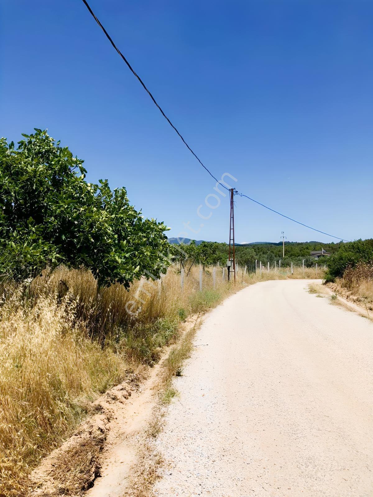 Torbalı Çamlıca´da Satılık 2272 M2 Arazi — fotoğraf 9