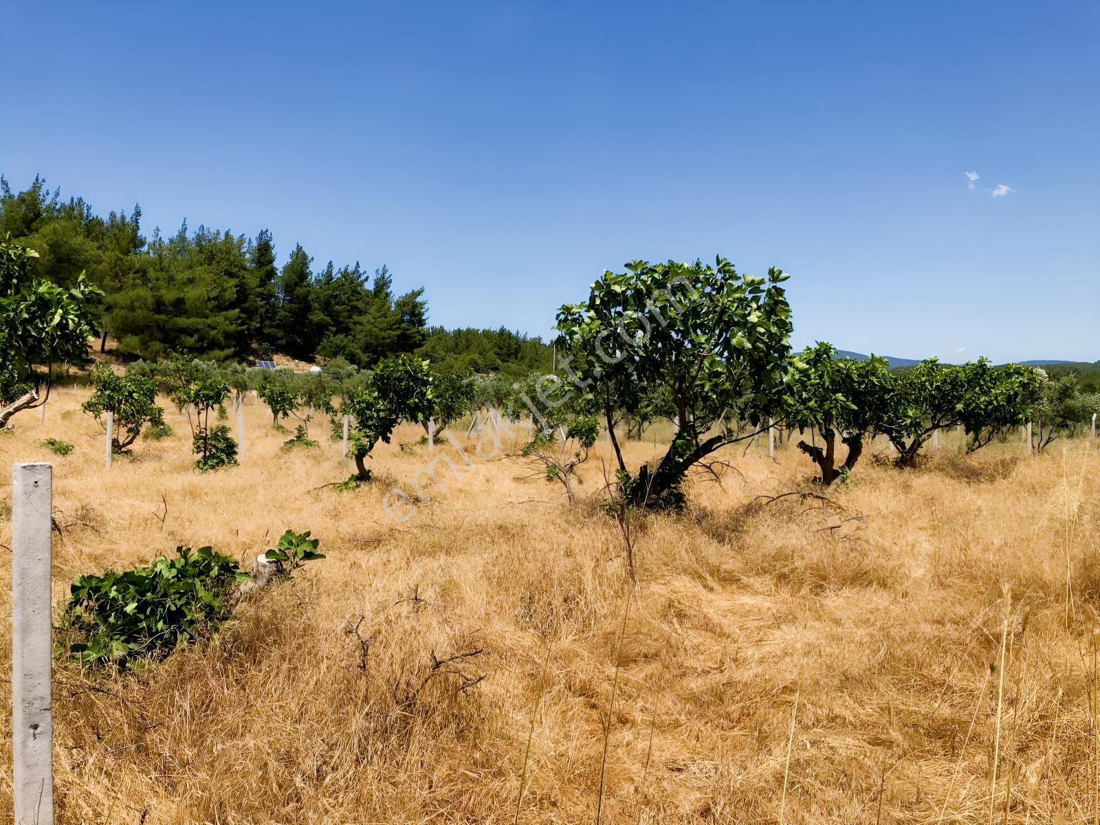 Torbalı Çamlıca´da Satılık 2272 M2 Arazi — fotoğraf 10
