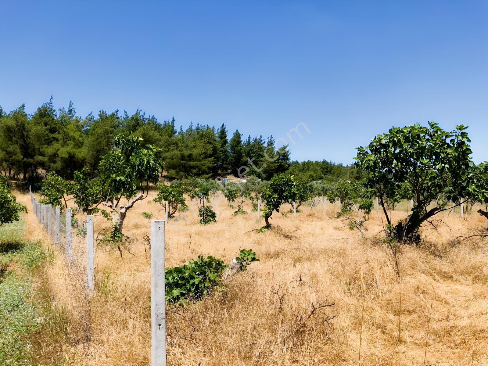 Torbalı Çamlıca´da Satılık 2272 M2 Arazi — fotoğraf 11