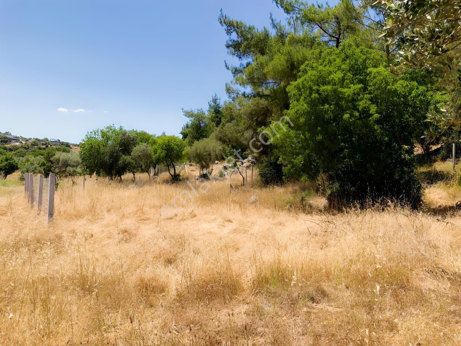 Torbalı Çamlıca´da Satılık 2272 M2 Arazi — fotoğraf 16