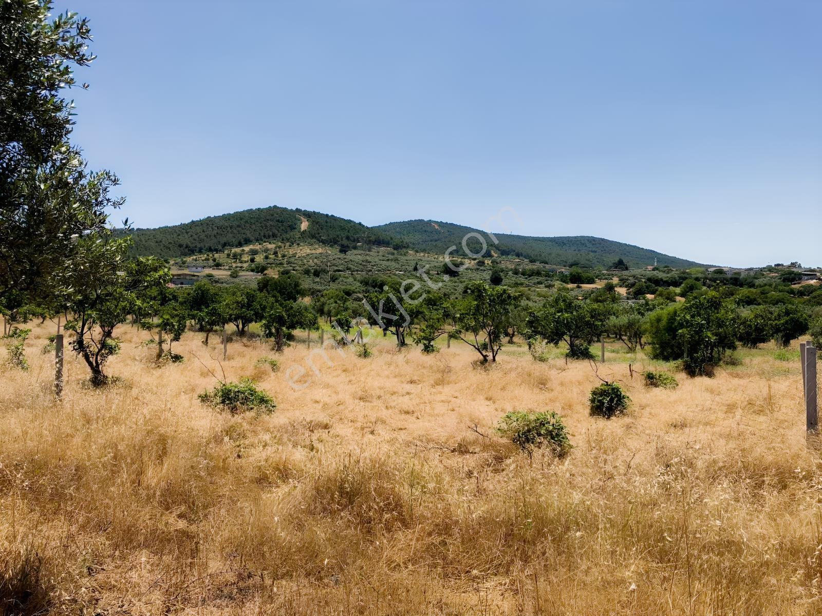 Torbalı Çamlıca´da Satılık 2272 M2 Arazi — fotoğraf 17
