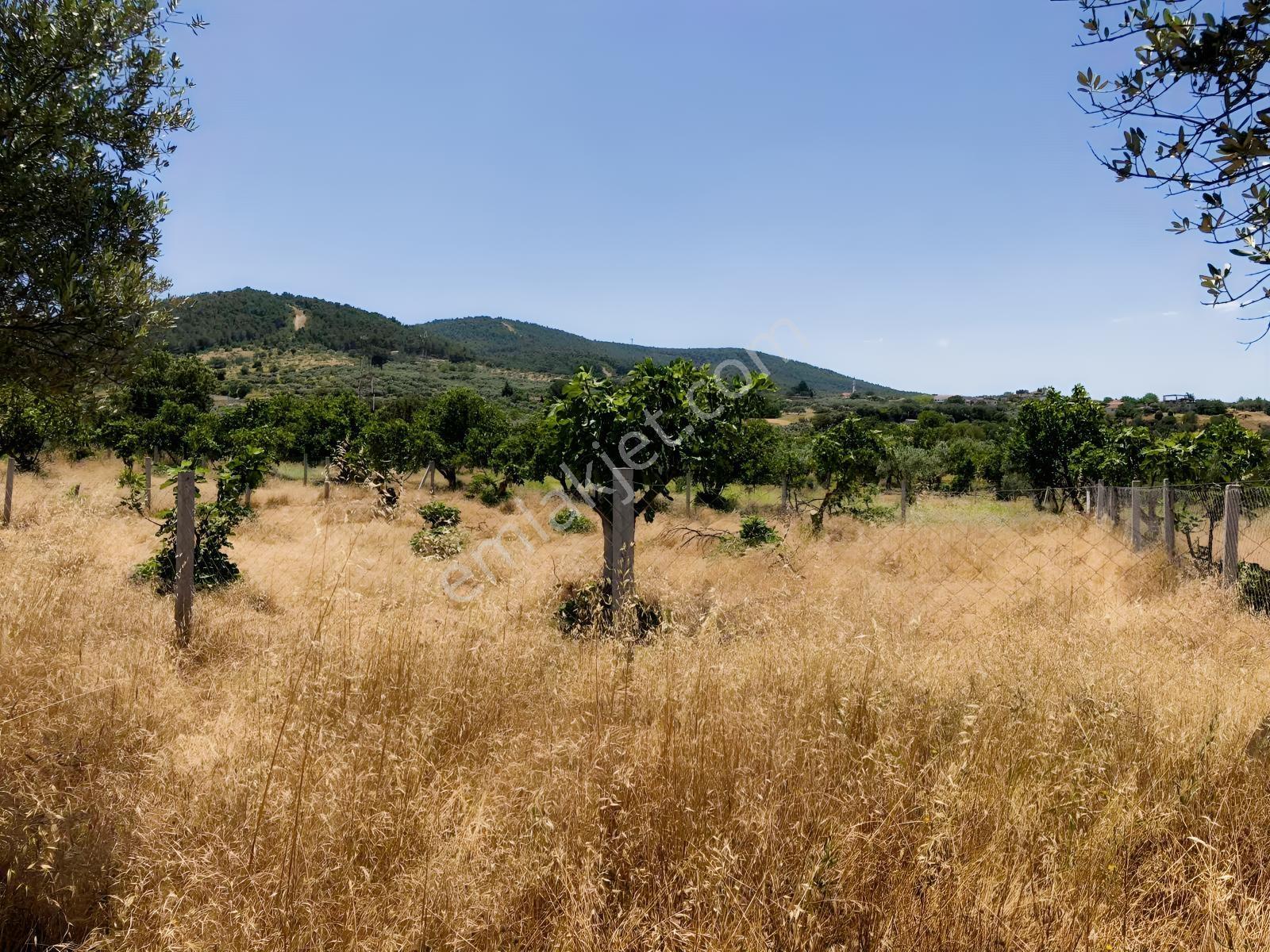 Torbalı Çamlıca´da Satılık 2272 M2 Arazi — fotoğraf 18