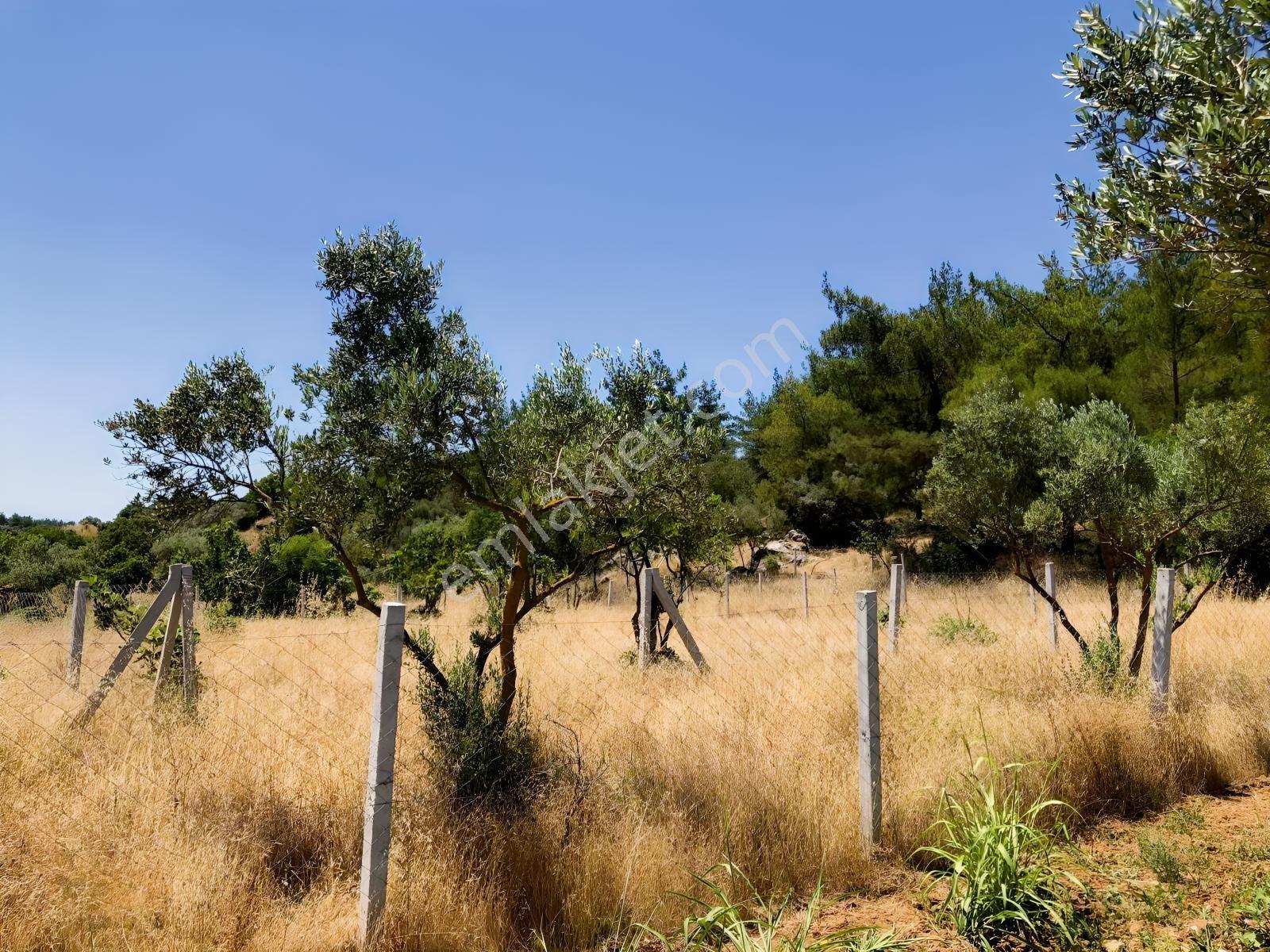 Torbalı Çamlıca´da Satılık 2272 M2 Arazi — fotoğraf 19