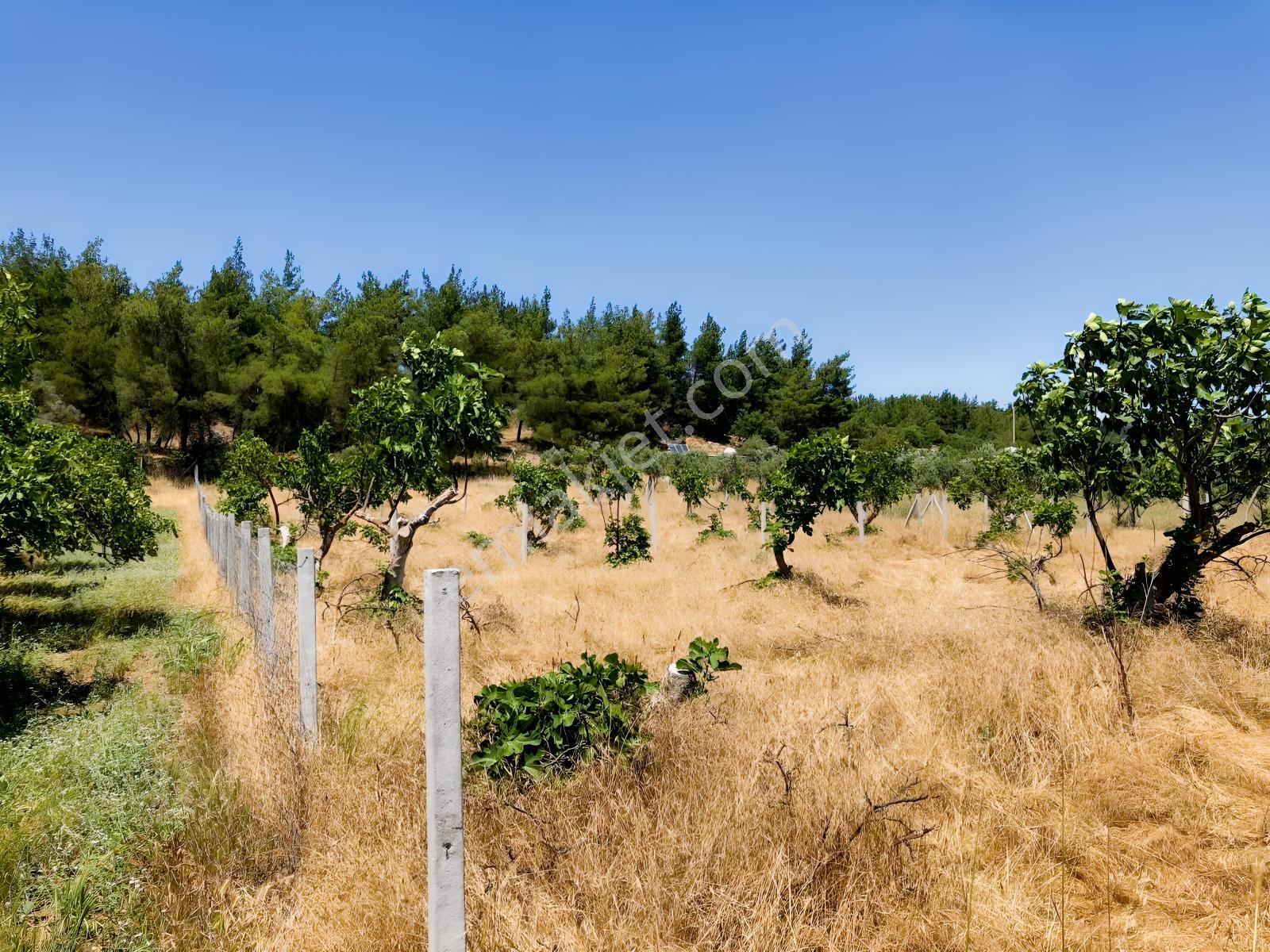 Torbalı Çamlıca´da Satılık 2272 M2 Arazi — fotoğraf 20