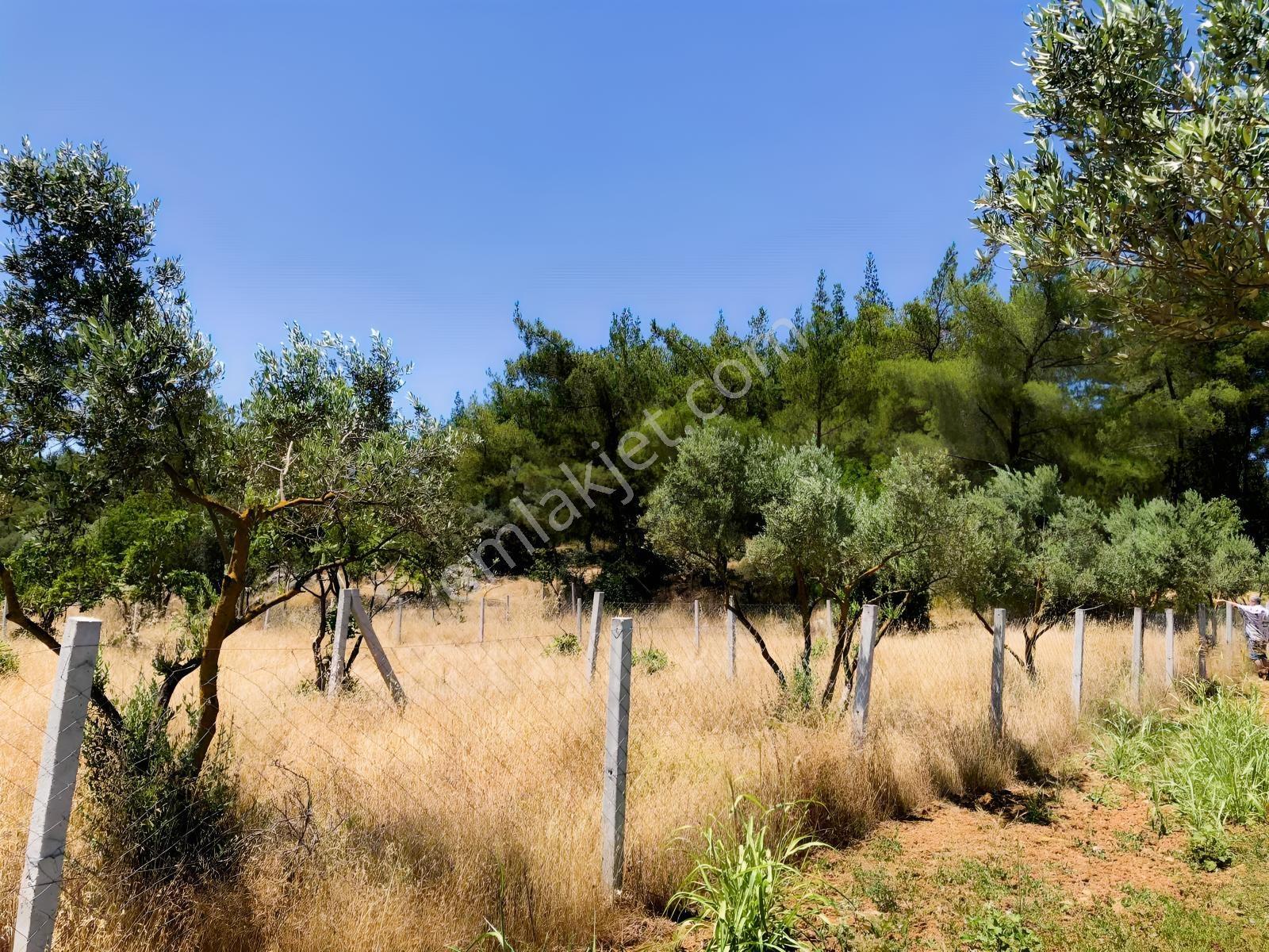 Torbalı Çamlıca´da Satılık 2272 M2 Arazi — fotoğraf 21
