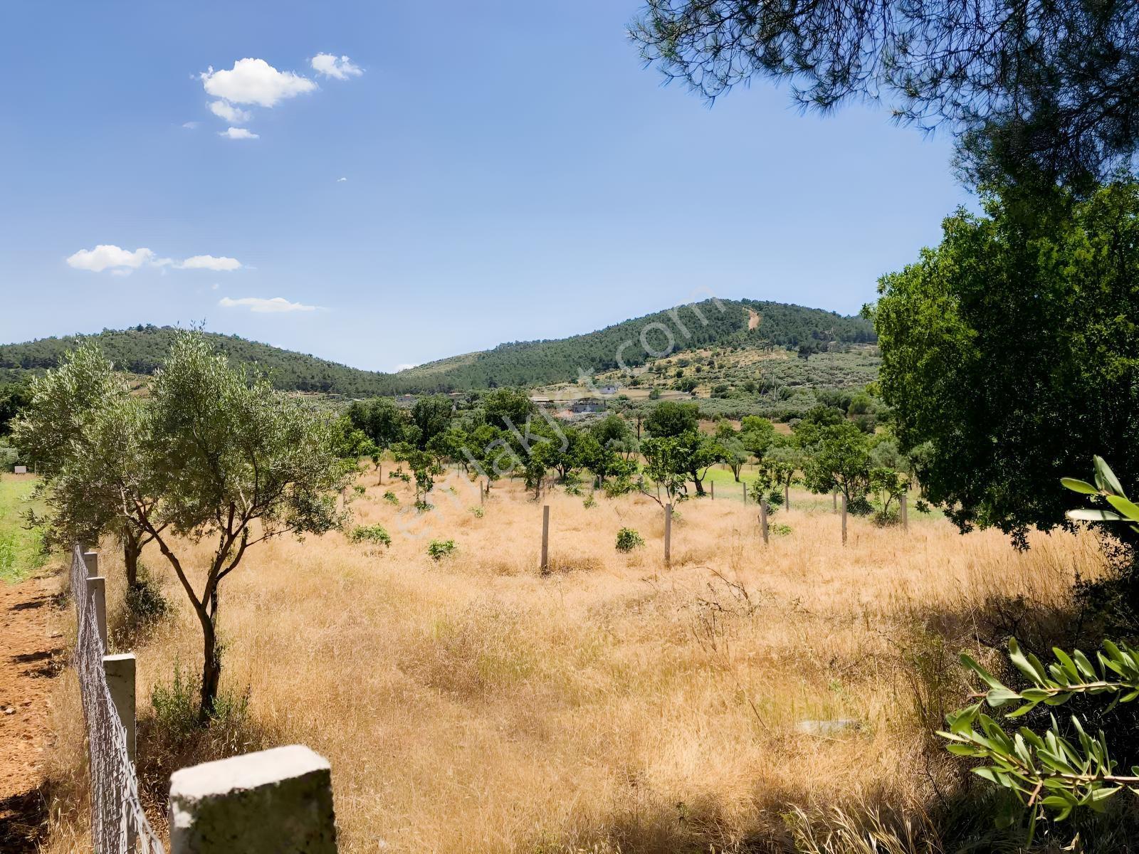 Torbalı Çamlıca´da Satılık 2272 M2 Arazi — fotoğraf 22