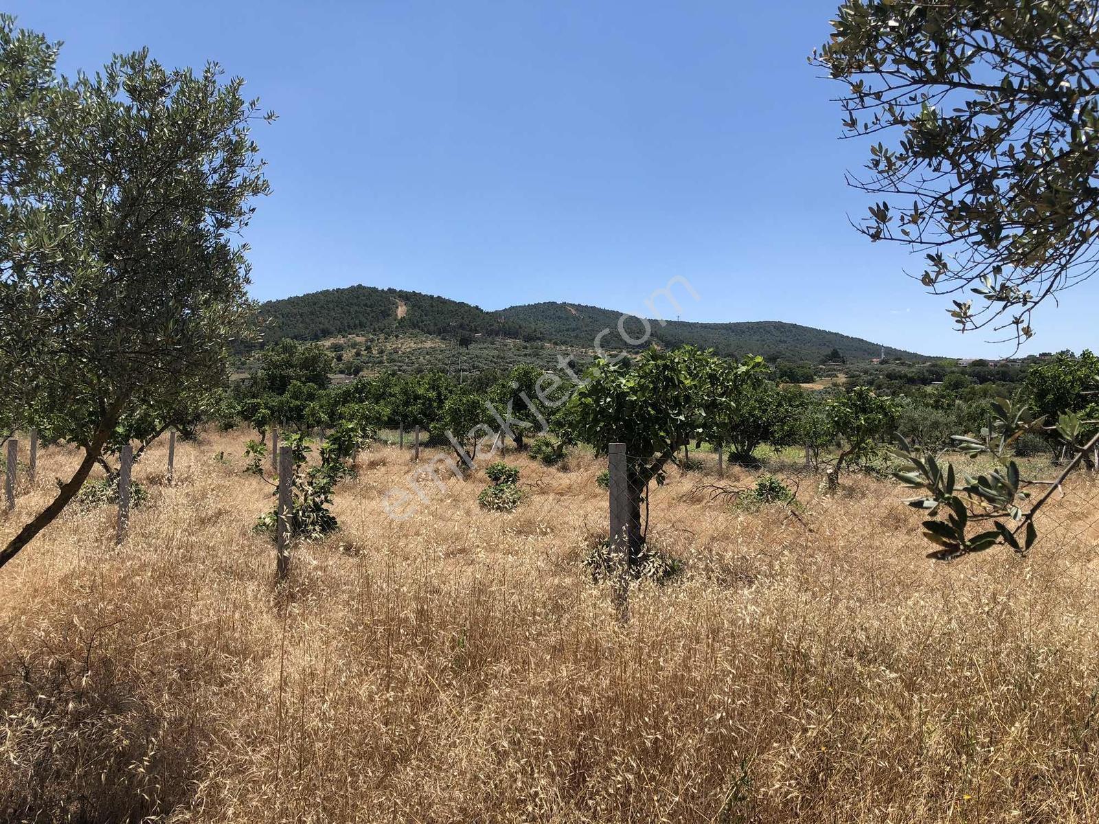 Torbalı Çamlıca´da Satılık 2272 M2 Arazi — fotoğraf 24