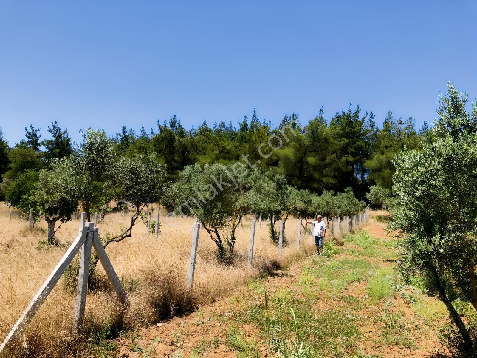 Torbalı Çamlıca´da Satılık 2272 M2 Arazi — fotoğraf 25