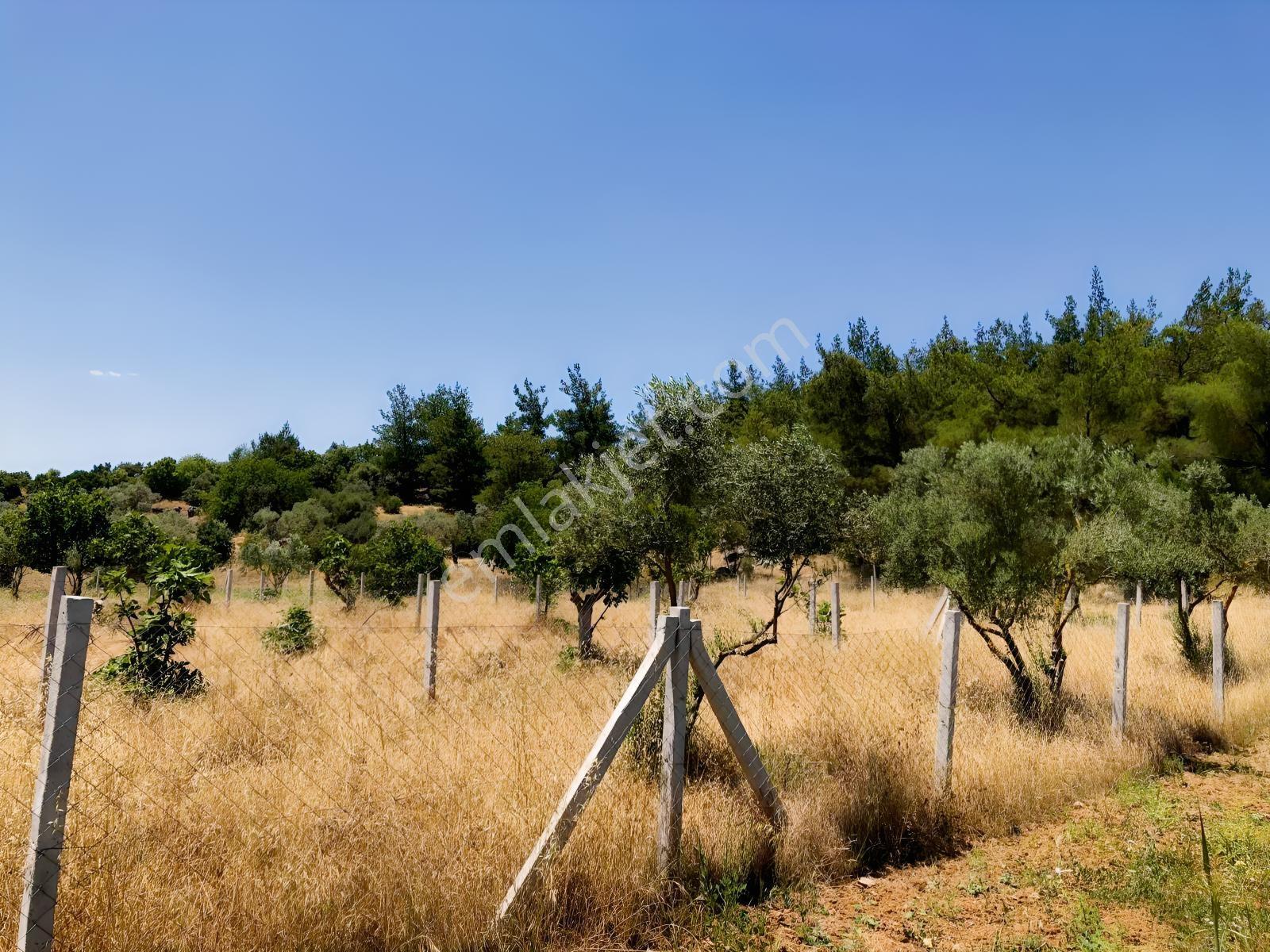 Torbalı Çamlıca´da Satılık 2272 M2 Arazi — fotoğraf 26