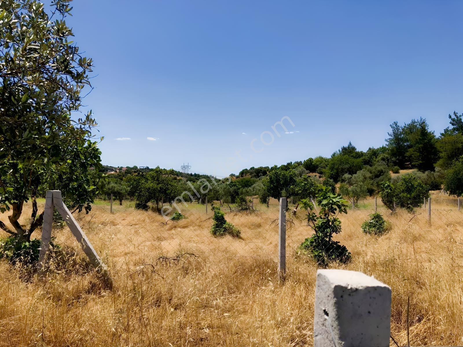 Torbalı Çamlıca´da Satılık 2272 M2 Arazi — fotoğraf 27