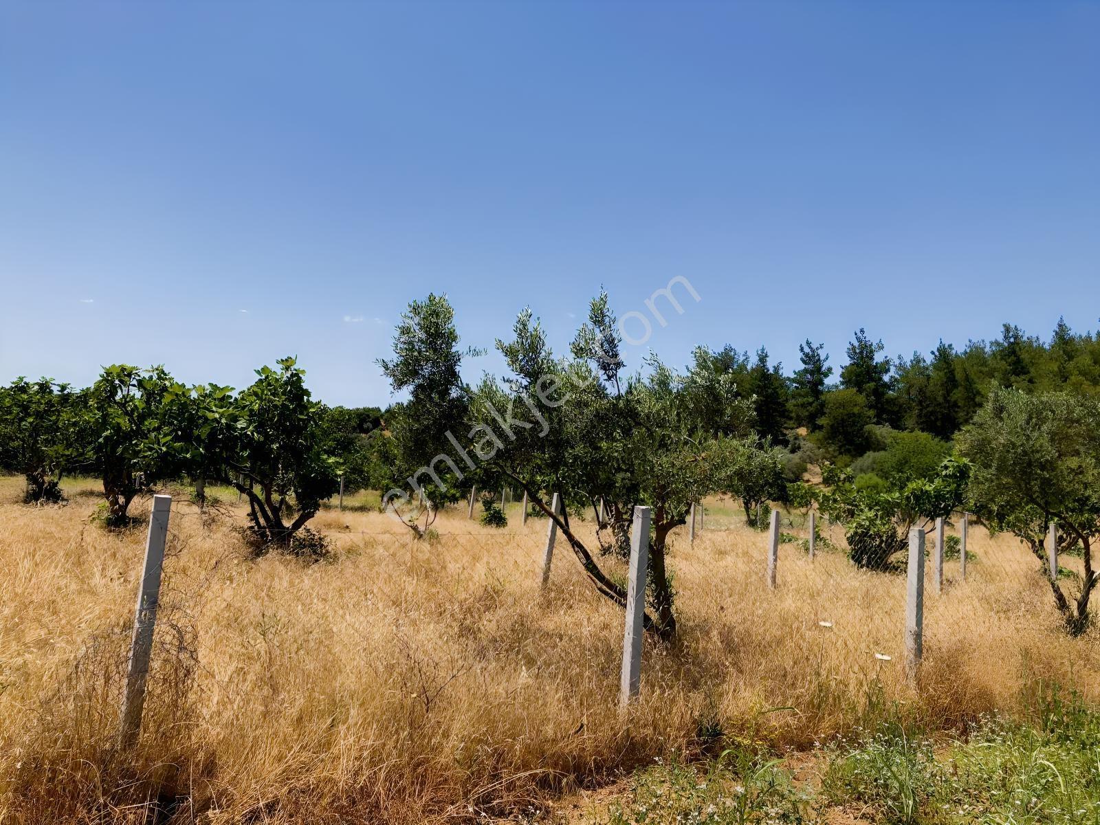 Torbalı Çamlıca´da Satılık 2272 M2 Arazi — fotoğraf 28