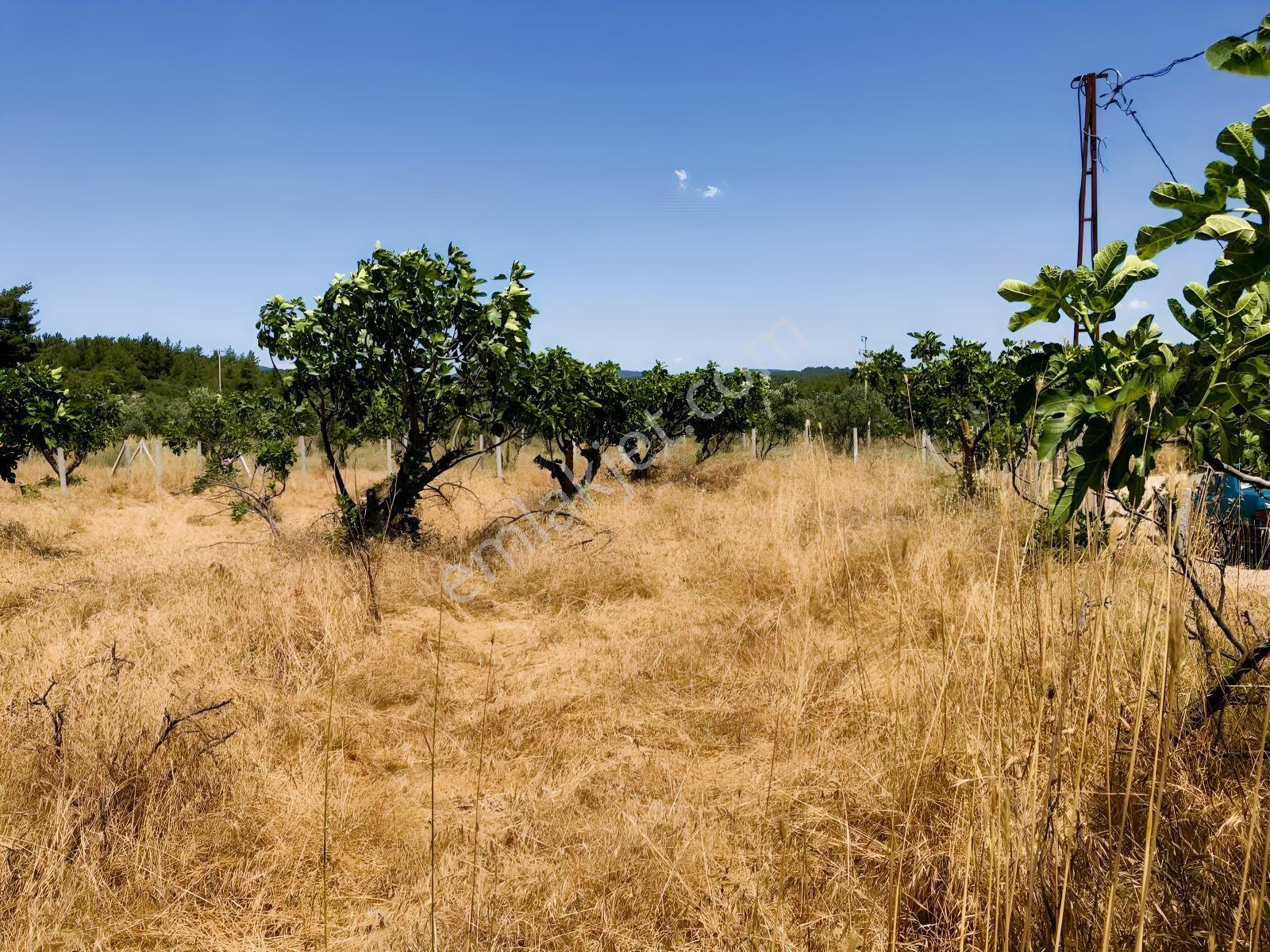 Torbalı Çamlıca´da Satılık 2272 M2 Arazi — fotoğraf 29