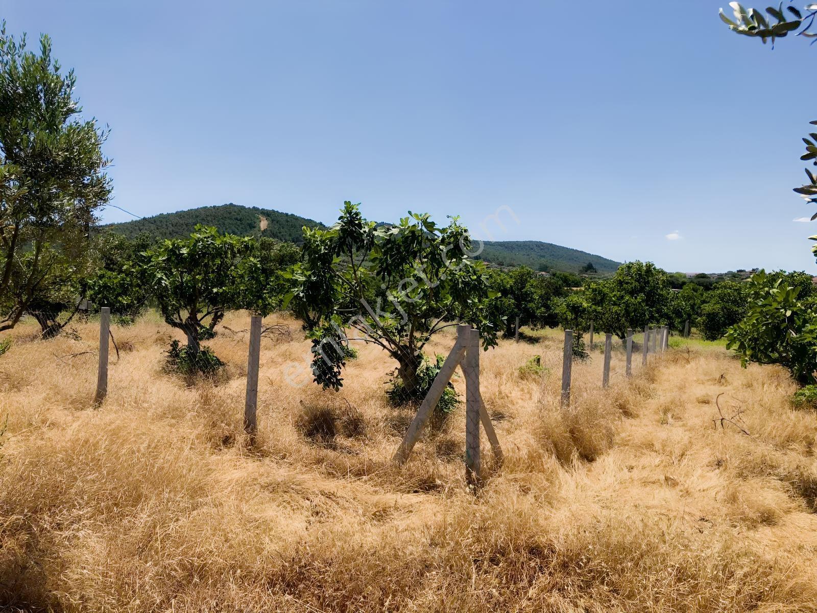 Torbalı Çamlıca´da Satılık 2272 M2 Arazi — fotoğraf 30