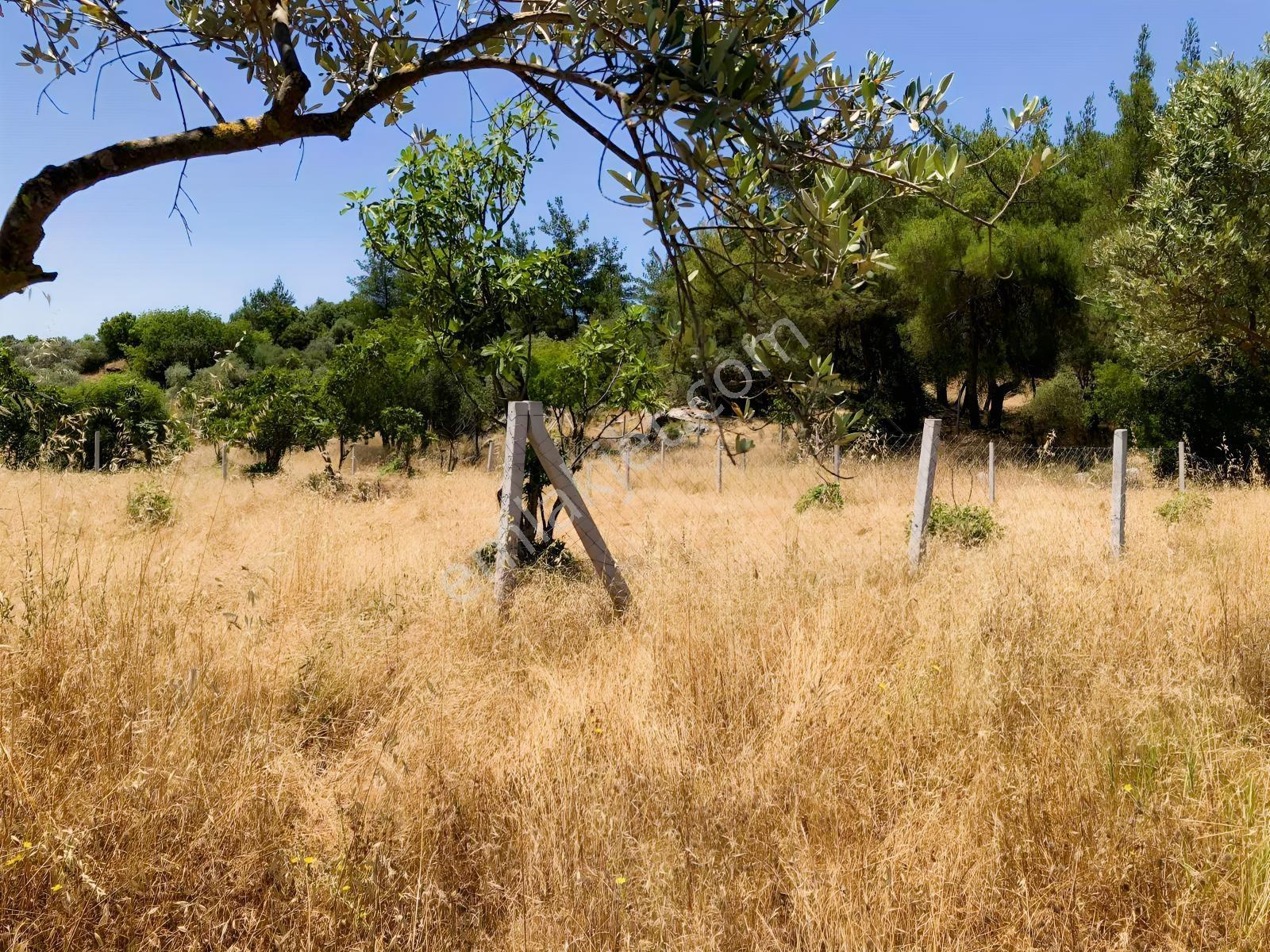Torbalı Çamlıca´da Satılık 2272 M2 Arazi — fotoğraf 31