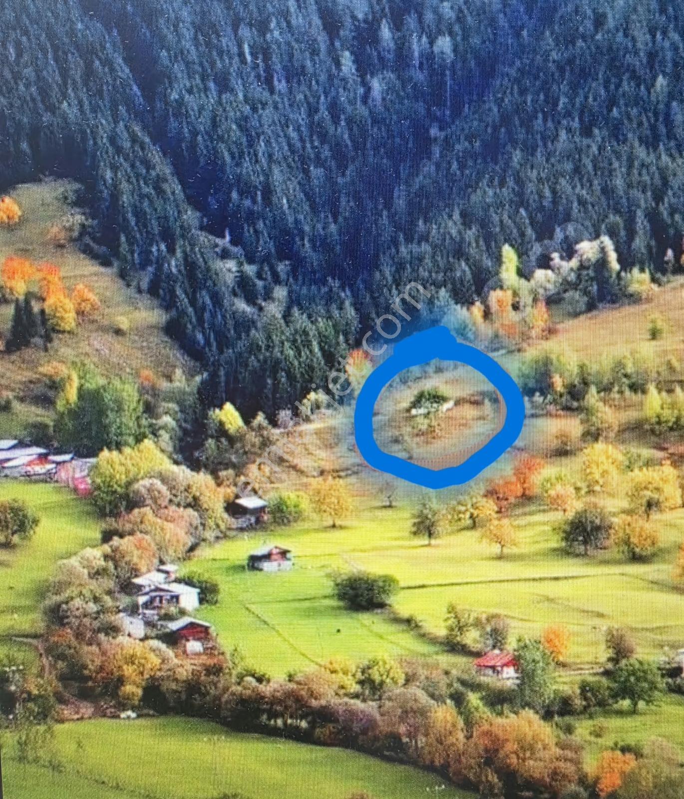 Bke Bursa Kılıç Tan Yeşilcennet Yavuzköy De Satılık 6031M2 Arsa