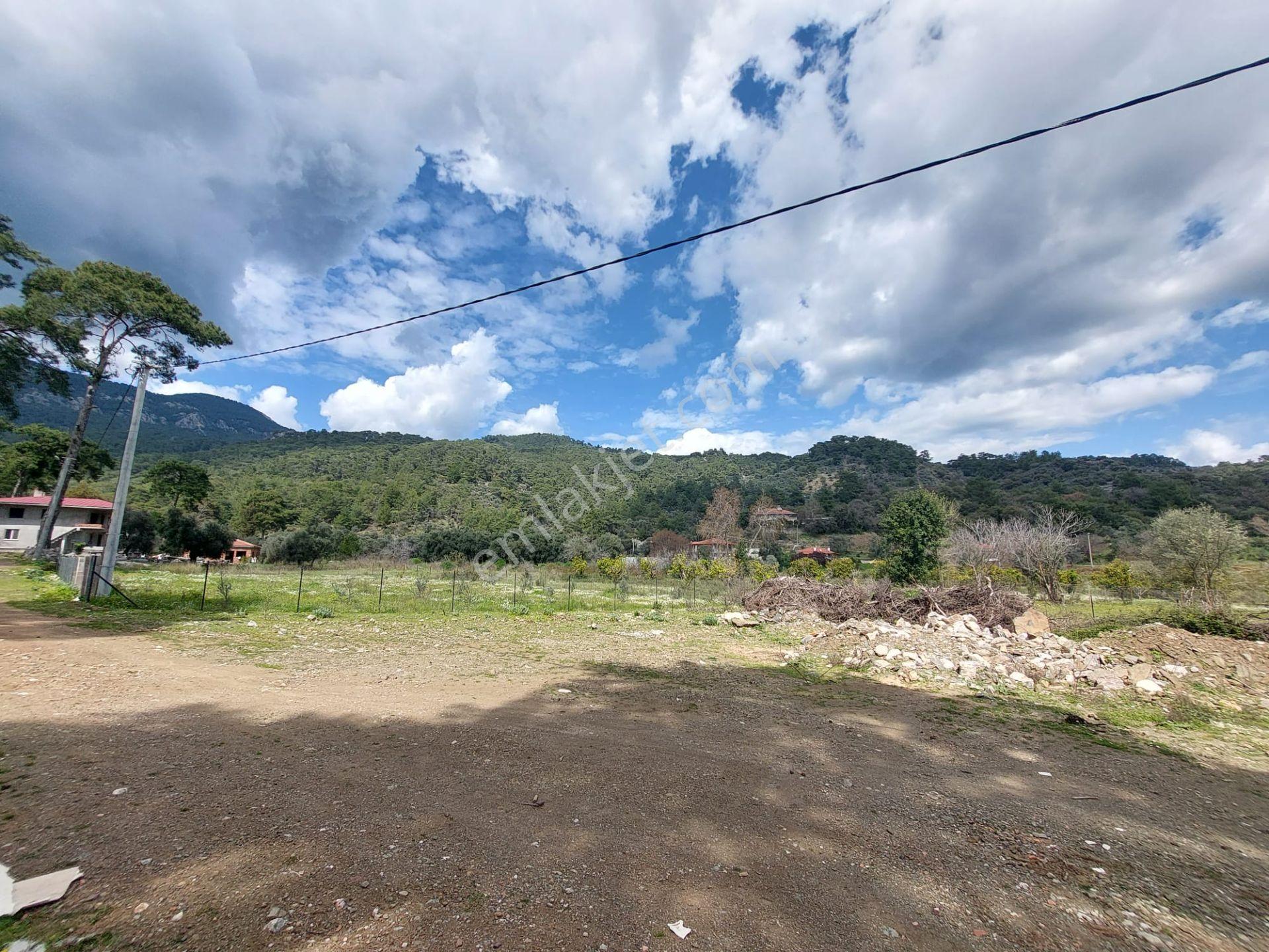 Köyceğiz Çandır Merkezde 1 000 M2 Kelepir Arazi Acil Satılık — fotoğraf 2