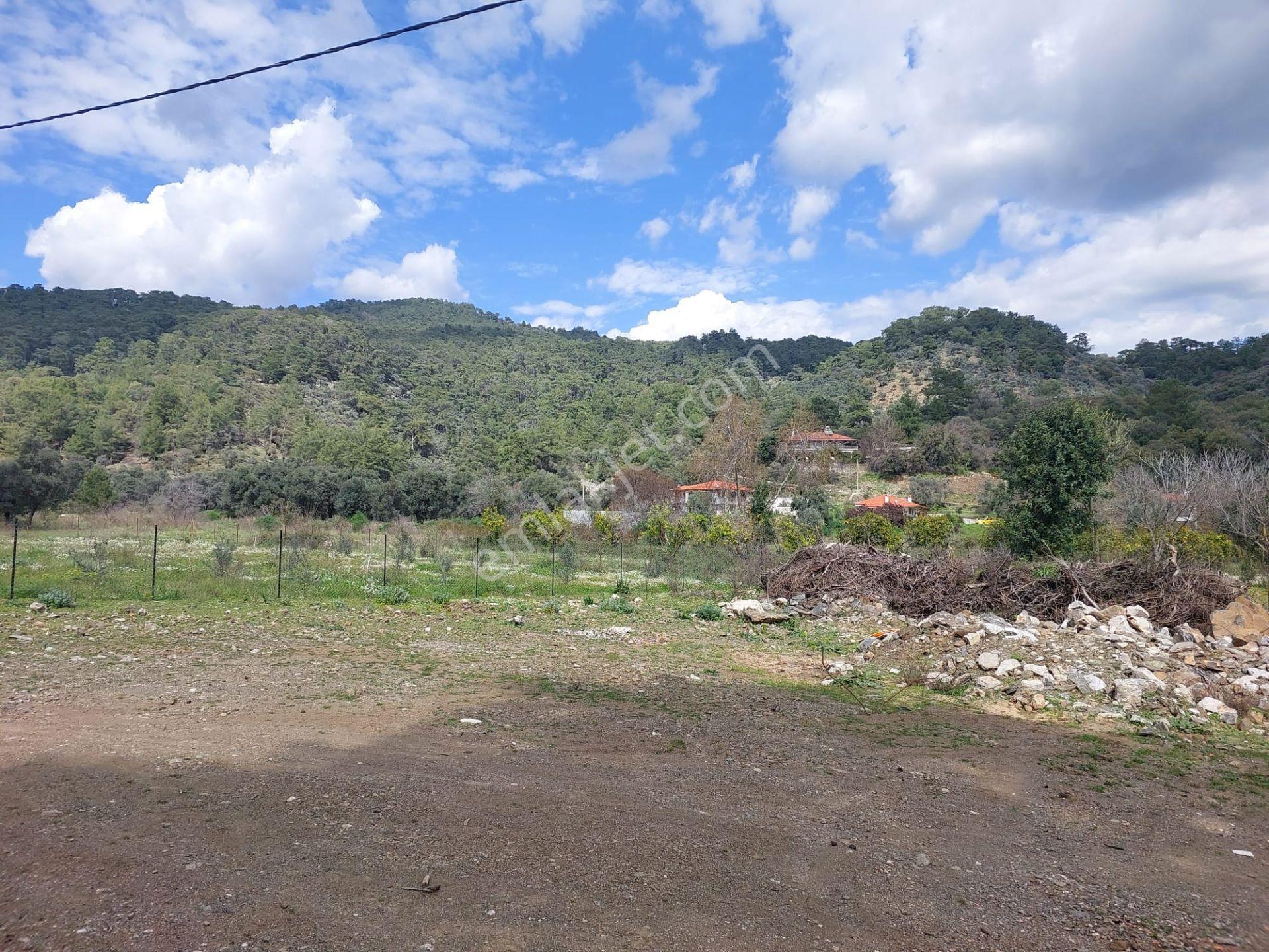Köyceğiz Çandır Merkezde 1 000 M2 Kelepir Arazi Acil Satılık — fotoğraf 7