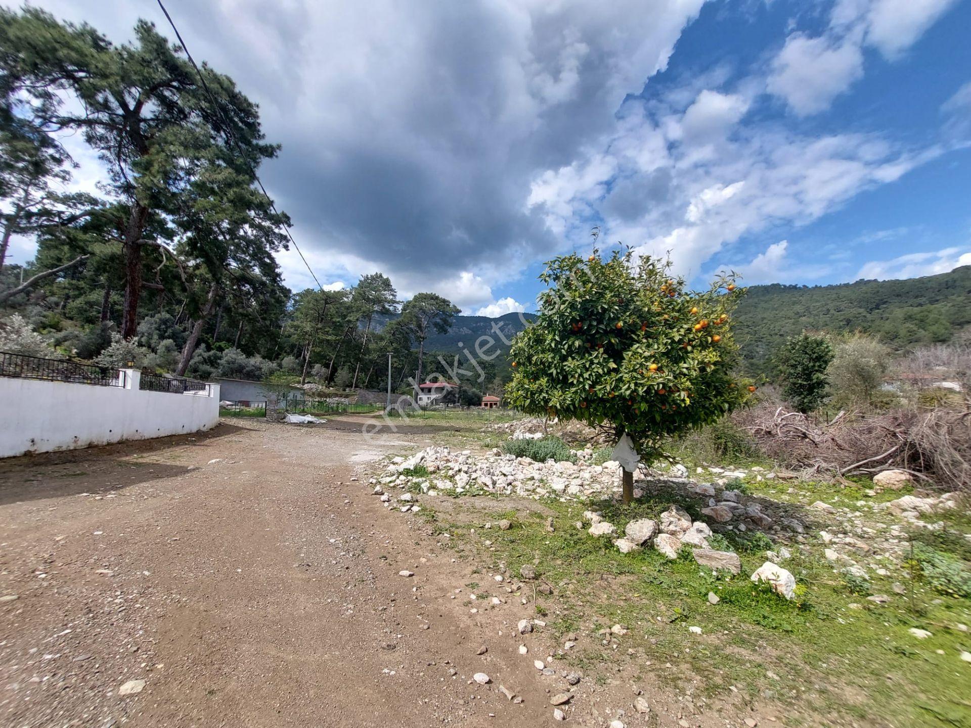 Köyceğiz Çandır Merkezde 1 000 M2 Kelepir Arazi Acil Satılık — fotoğraf 10