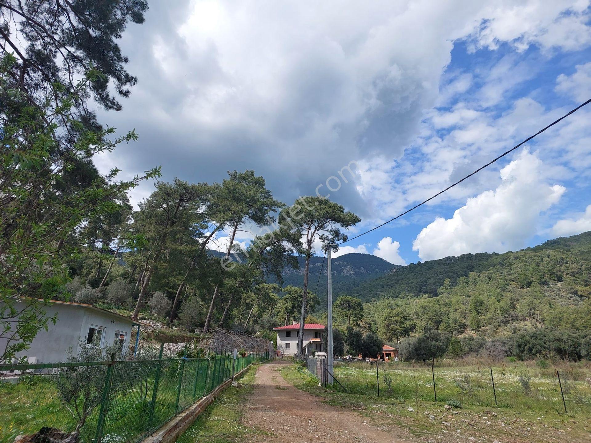 Köyceğiz Çandır Merkezde 1 000 M2 Kelepir Arazi Acil Satılık — fotoğraf 11