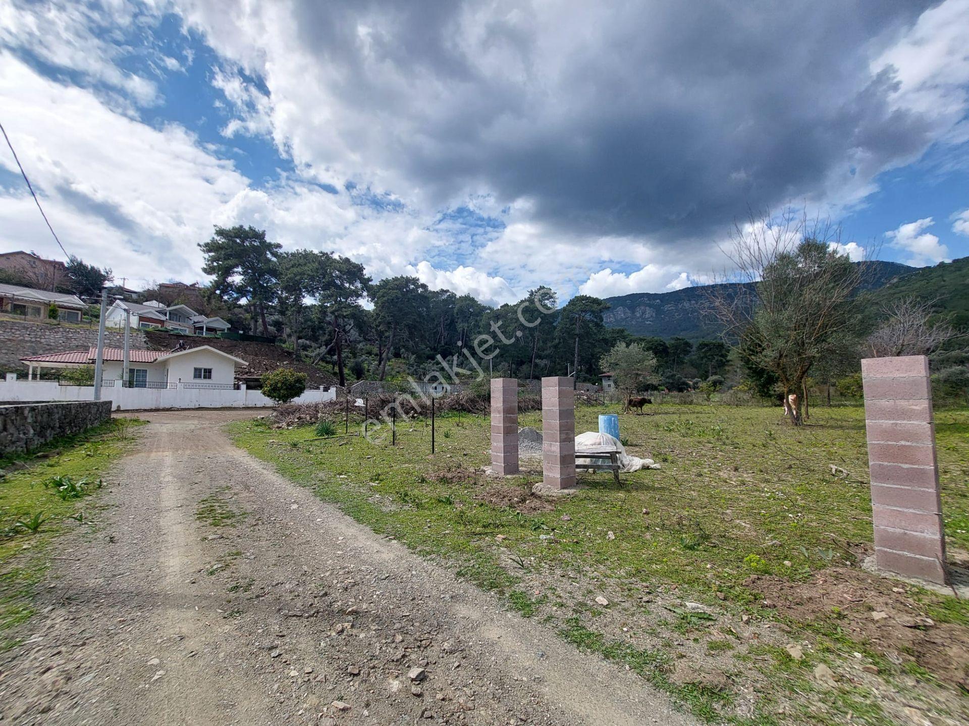 Köyceğiz Çandır Merkezde 1 000 M2 Kelepir Arazi Acil Satılık — fotoğraf 12