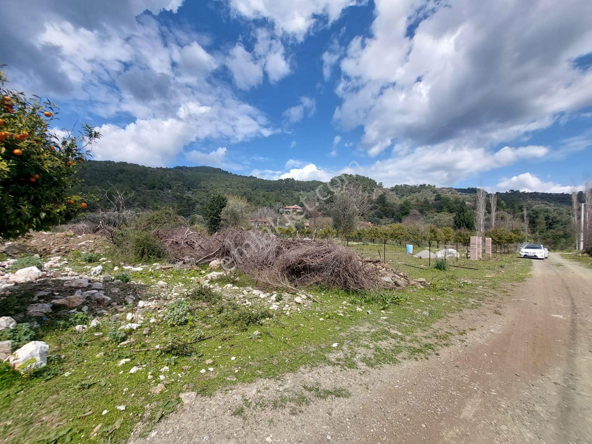 Köyceğiz Çandır Merkezde 1 000 M2 Kelepir Arazi Acil Satılık — fotoğraf 13