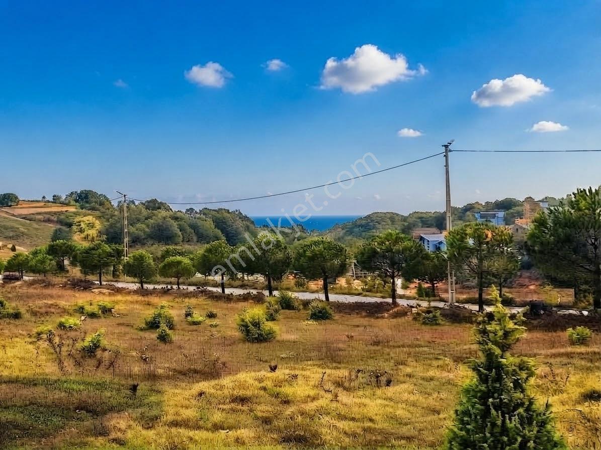 Deniz Manzaralı Resmi Yola Cepheli
