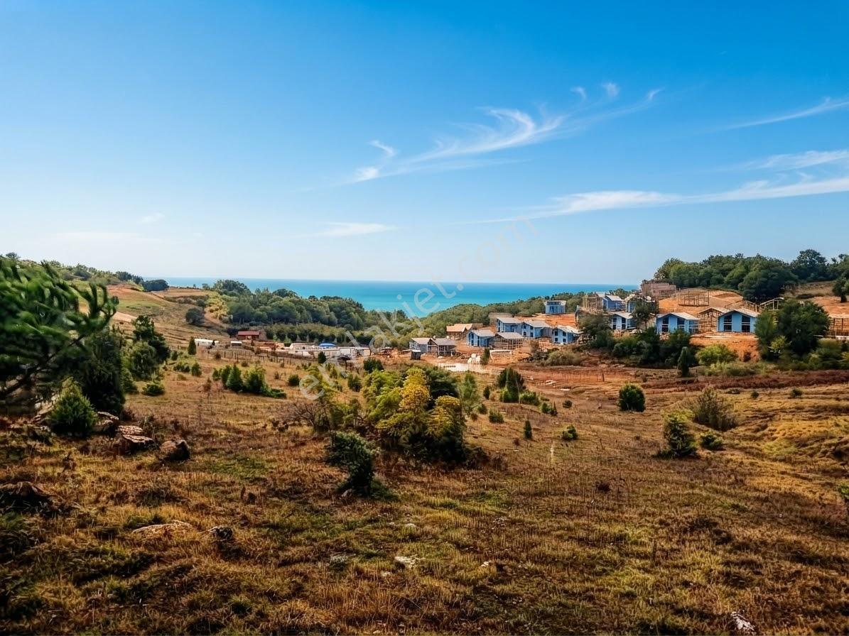 Deniz Manzaralı Resmi Yola Cepheli — fotoğraf 2