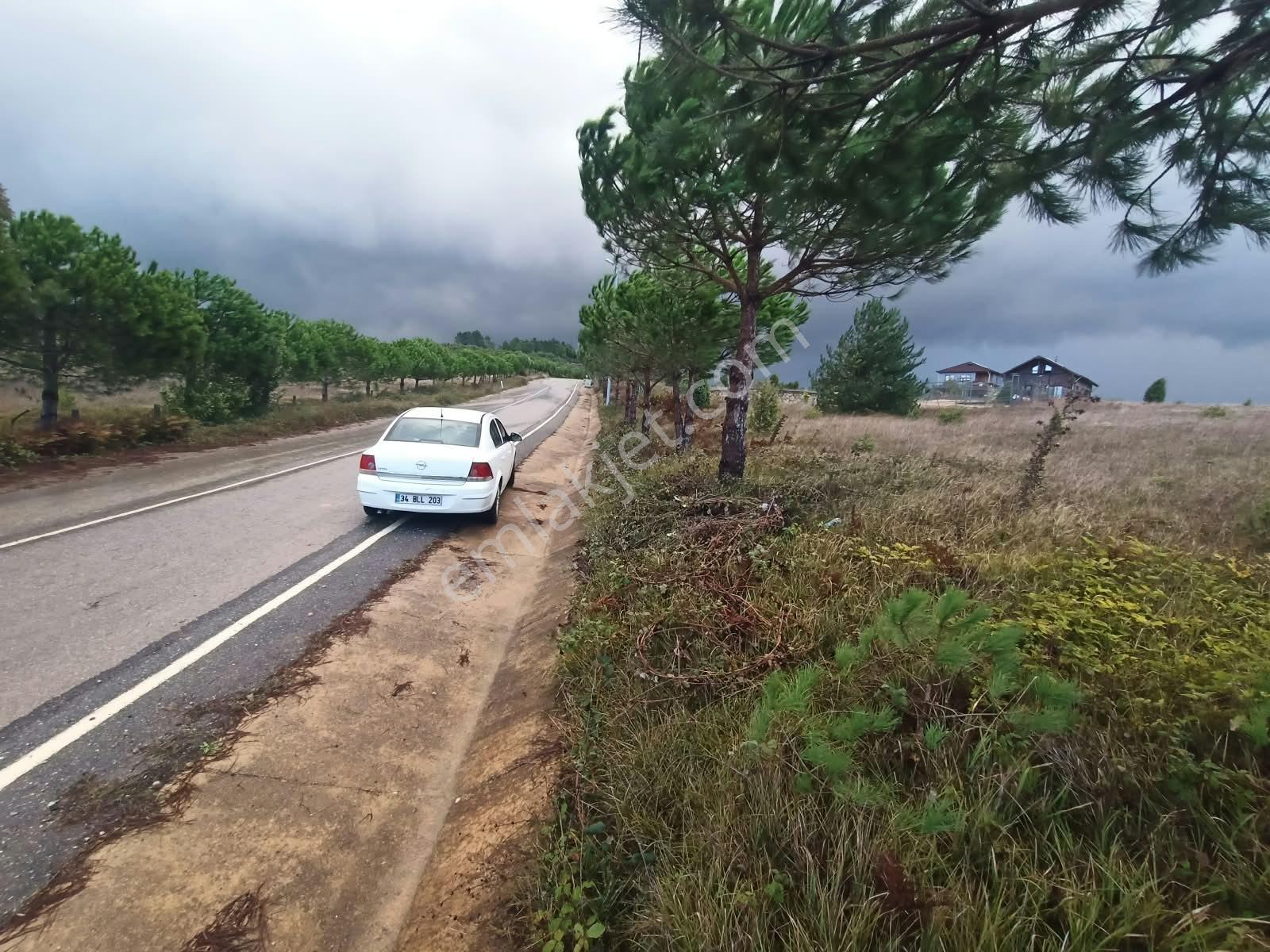 Deniz Manzaralı Resmi Yola Cepheli — fotoğraf 8