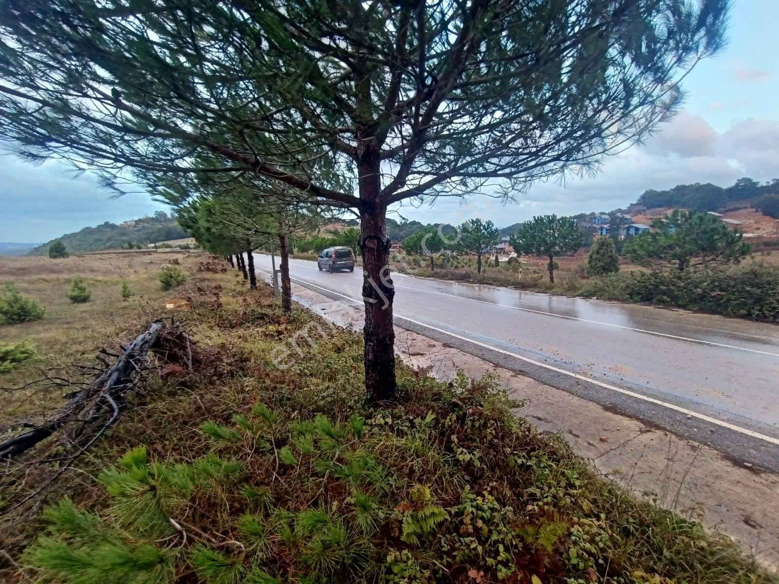 Deniz Manzaralı Resmi Yola Cepheli — fotoğraf 9