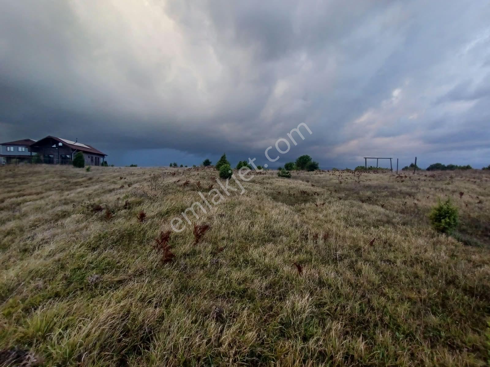 Deniz Manzaralı Resmi Yola Cepheli — fotoğraf 16